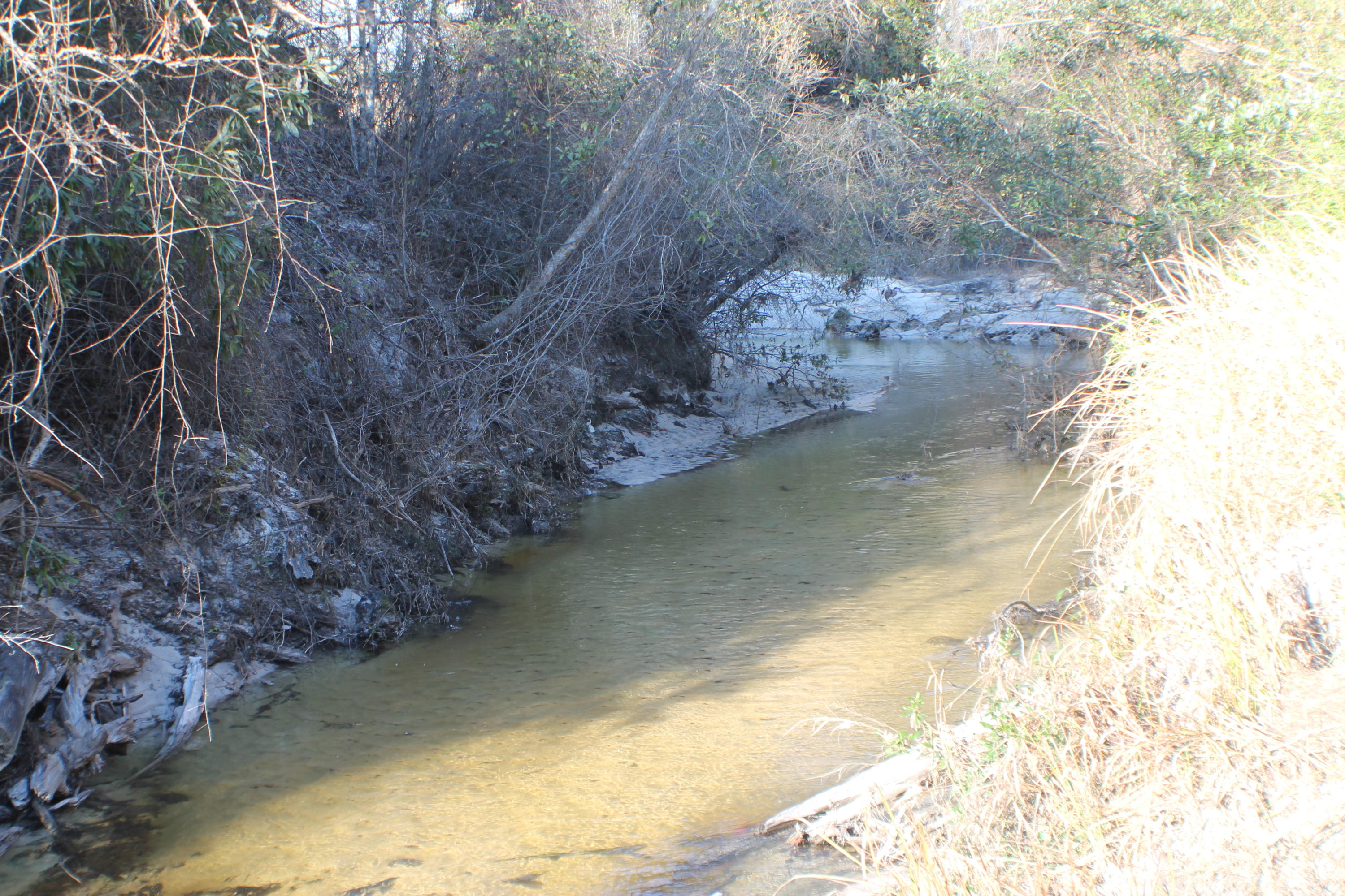 METES & BOUNDS - Land