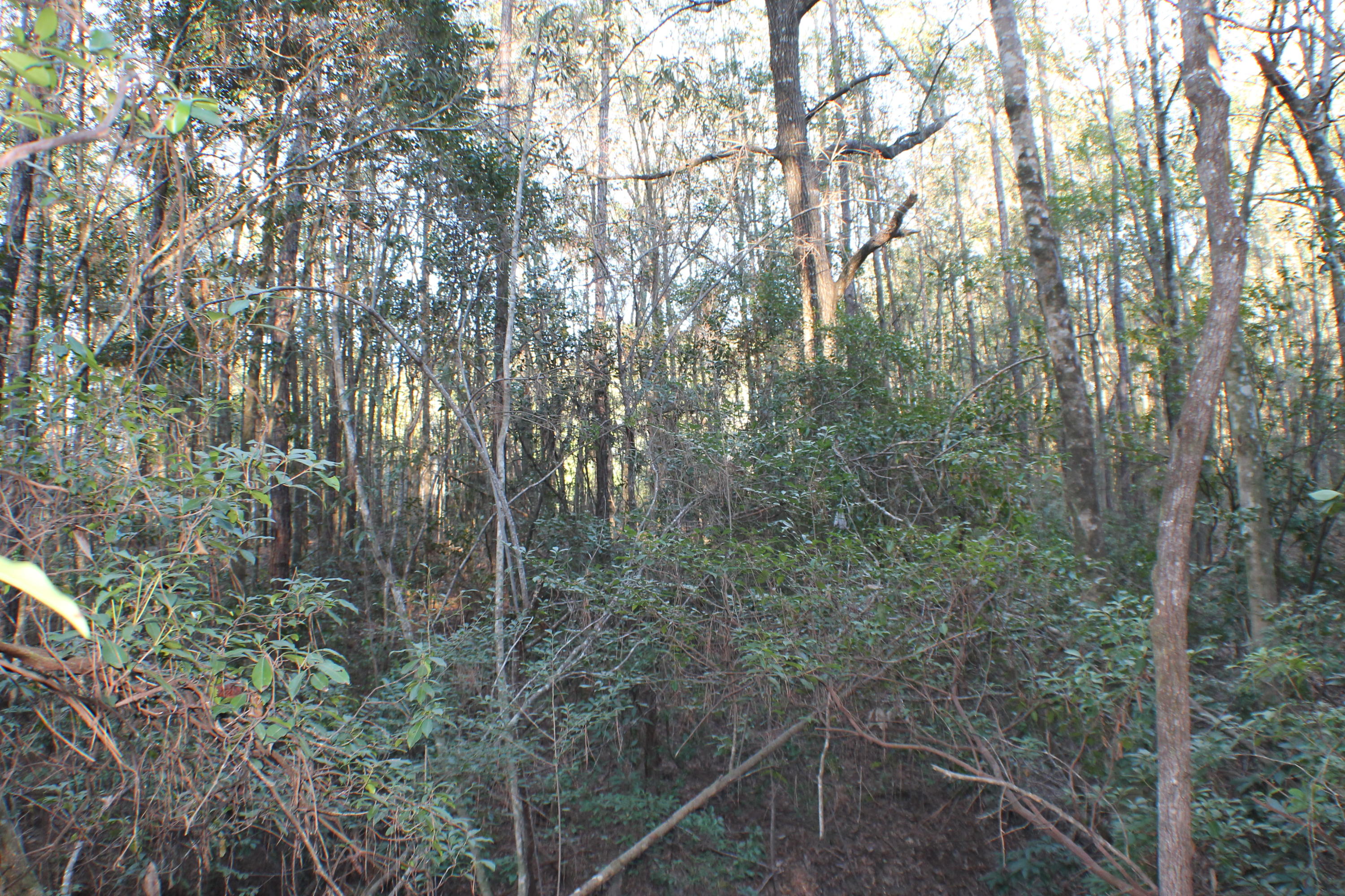 METES & BOUNDS - Land