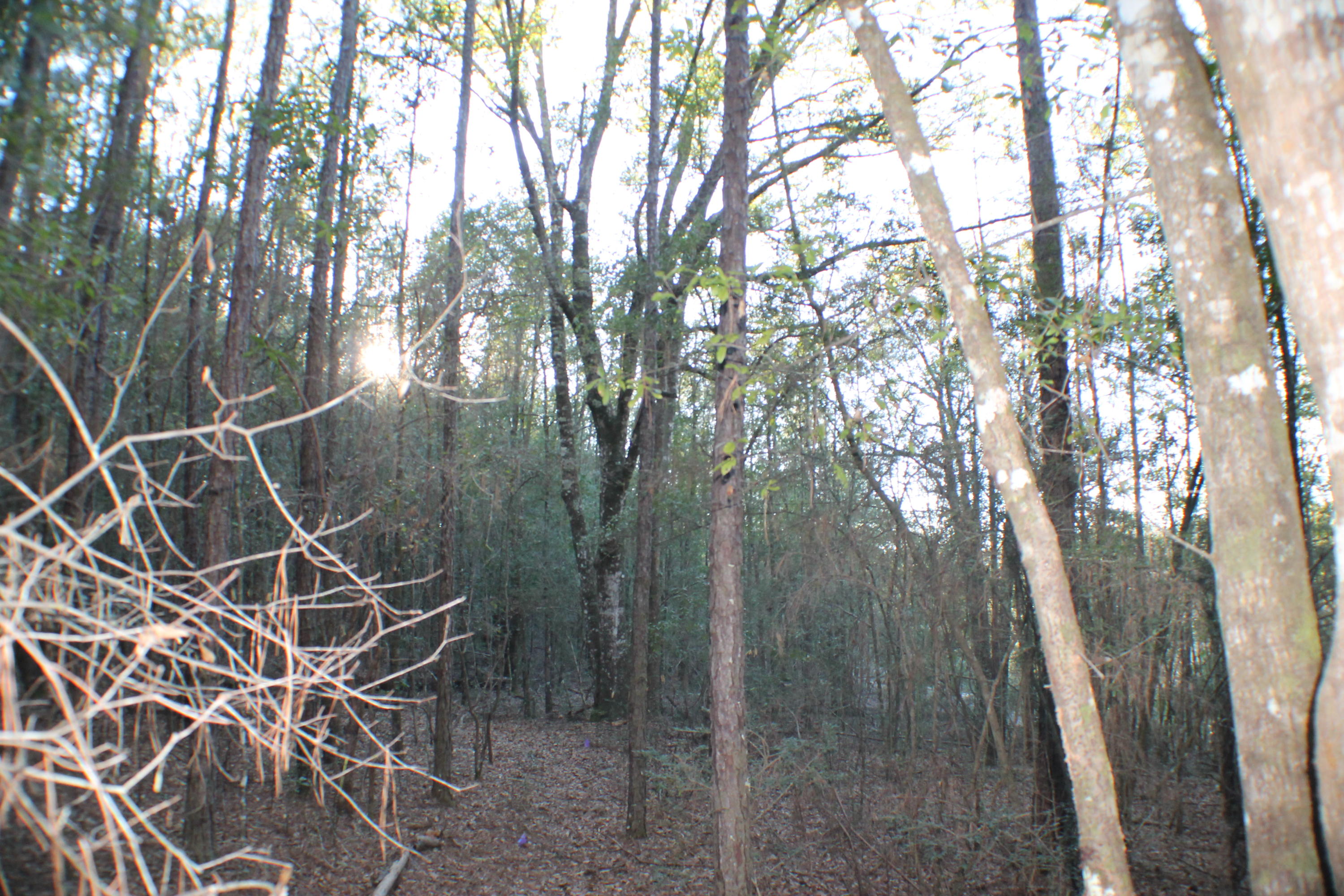 METES & BOUNDS - Land