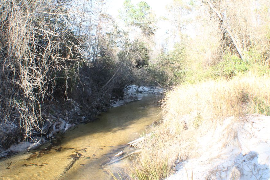 Bring your easy chair and relax on the white sandy beaches while the clear cool steam flows under your chair! This beautiful rolling hill hardwood parcel has Paved road access with just a quick commute to Crestview and Destin Beaches! The hardwoods and magnolia trees are beautiful! Deer and turkey all around! The high bluffs, low sandy beaches and the improvements invite your building plans with that wrap around porch! There is a singlewide mobile home to use for storage or camp out in while you build! One shed will convey. The four inch deep well with high capacity pump and 120 gallon tank are ready to supply even the largest home! Bring you easy chair and house plans to where the deer roam and the whippoorwills still sing at night!