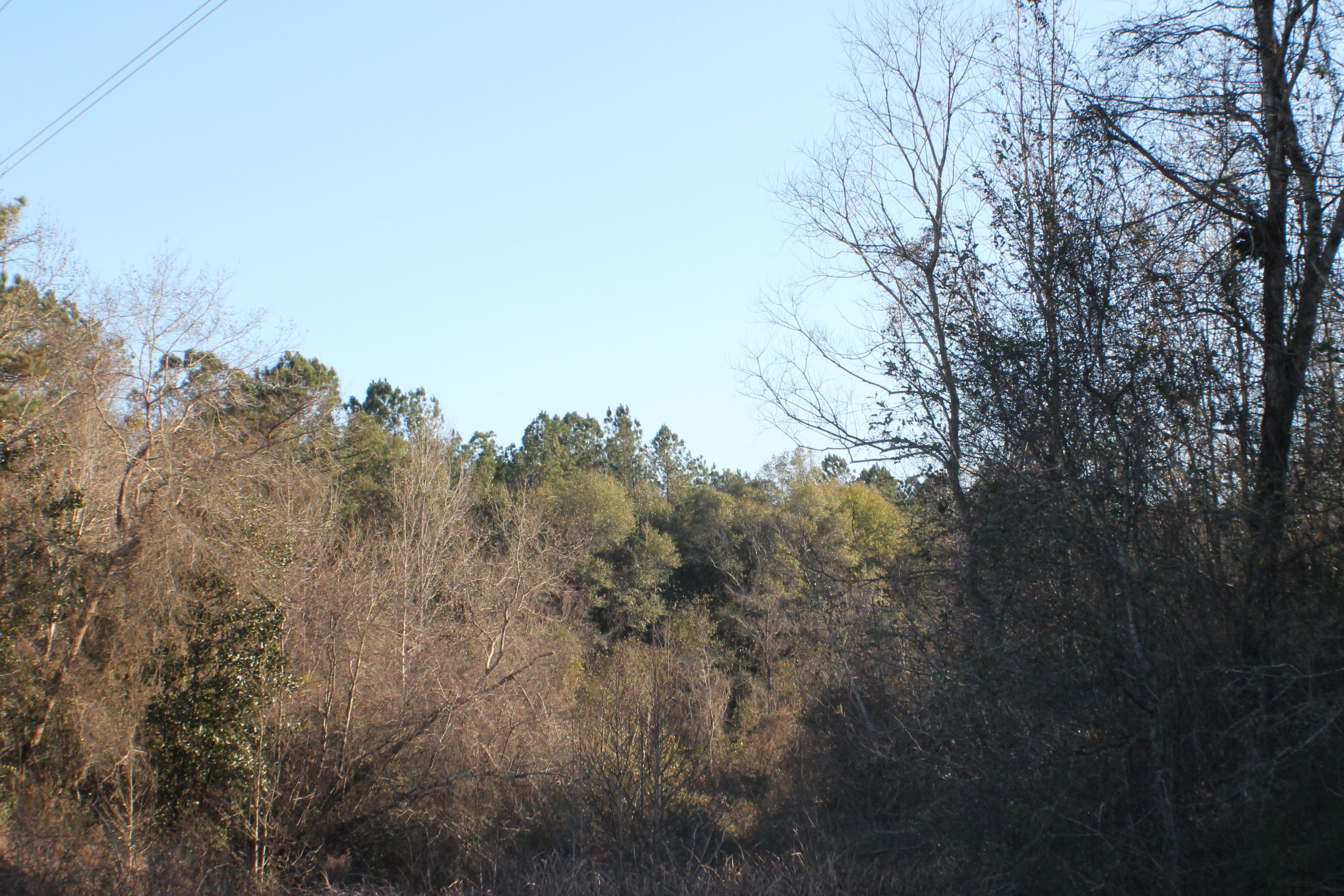 METES & BOUNDS - Land