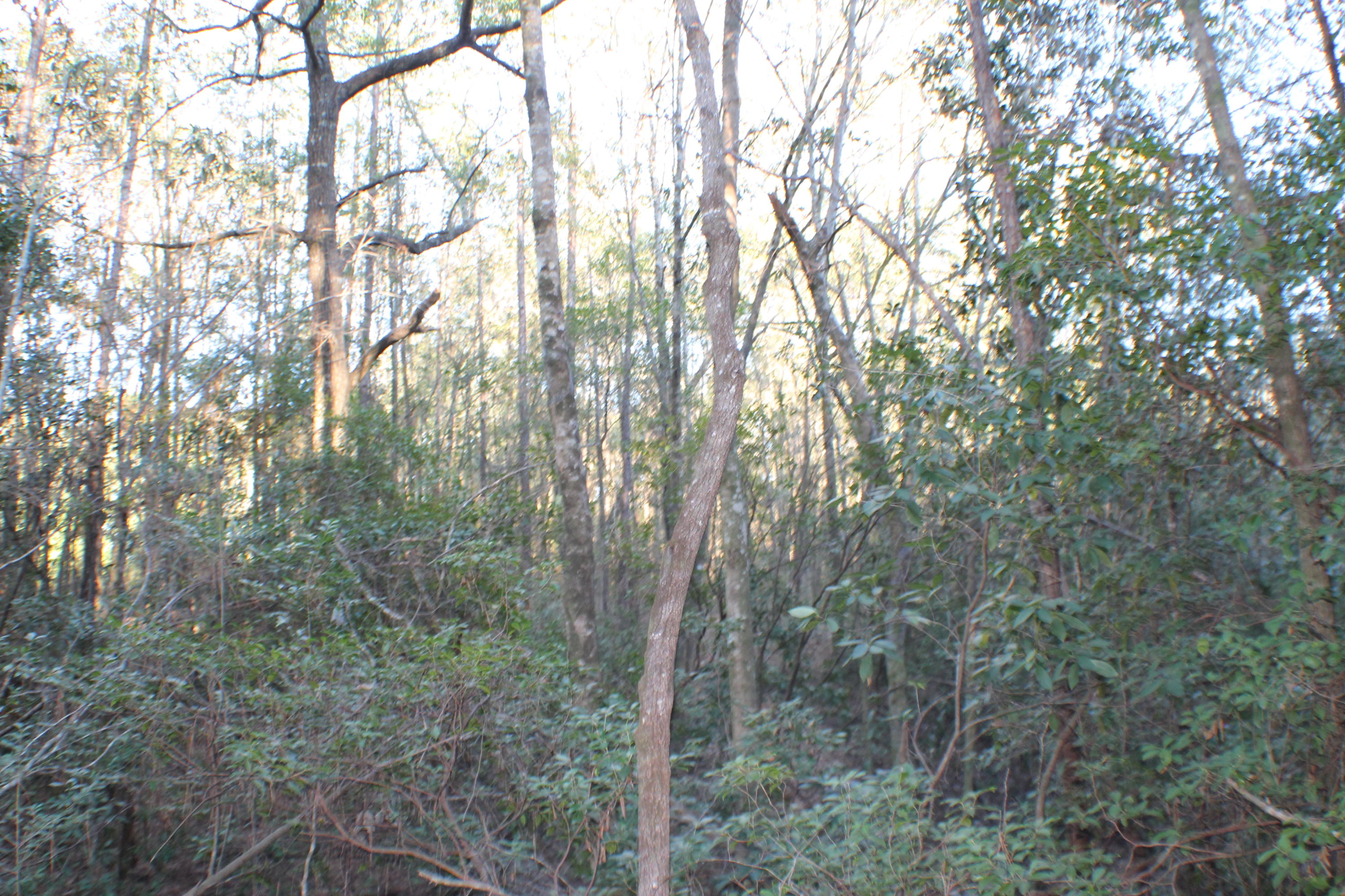 METES & BOUNDS - Land