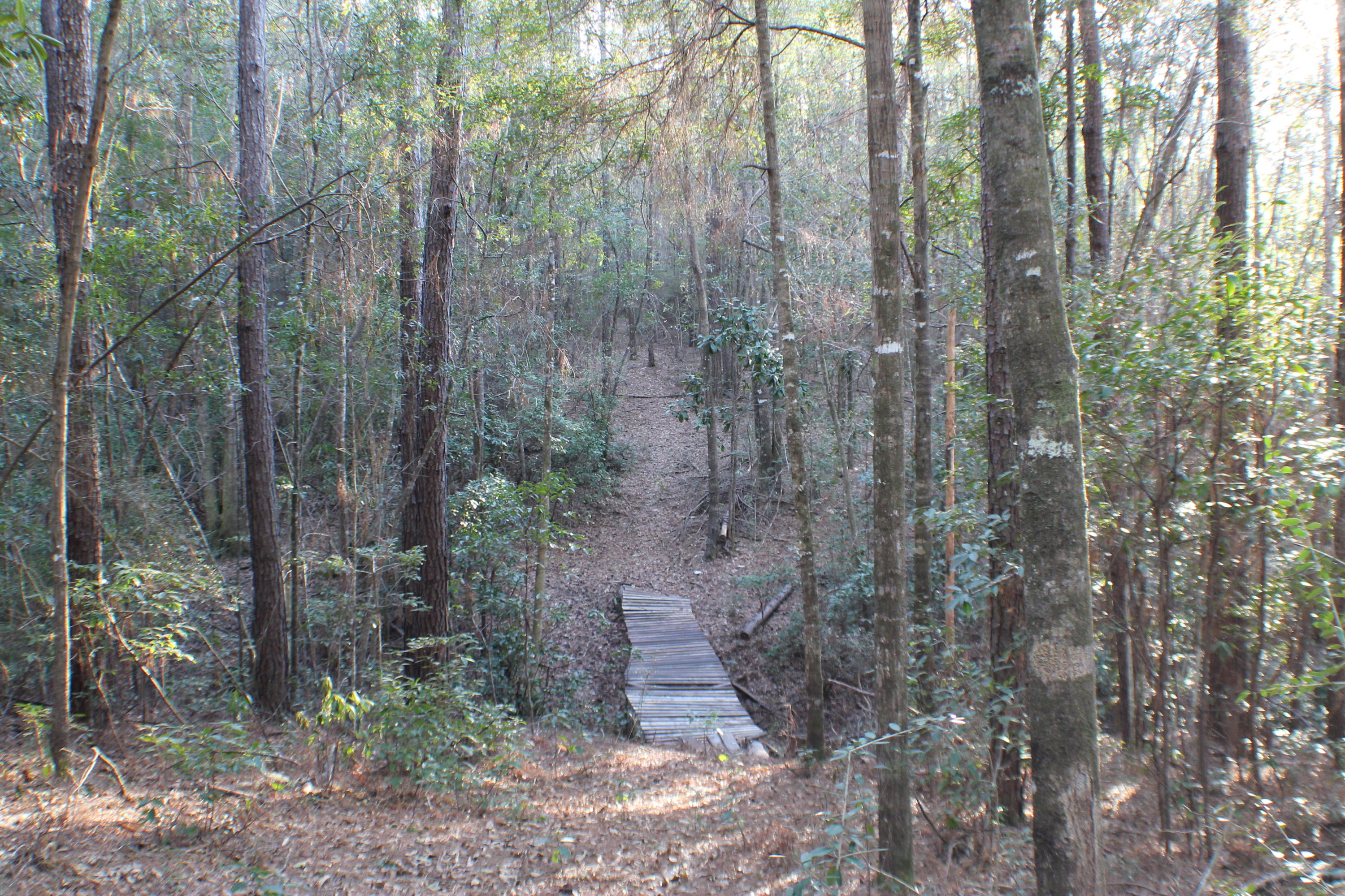 METES & BOUNDS - Land