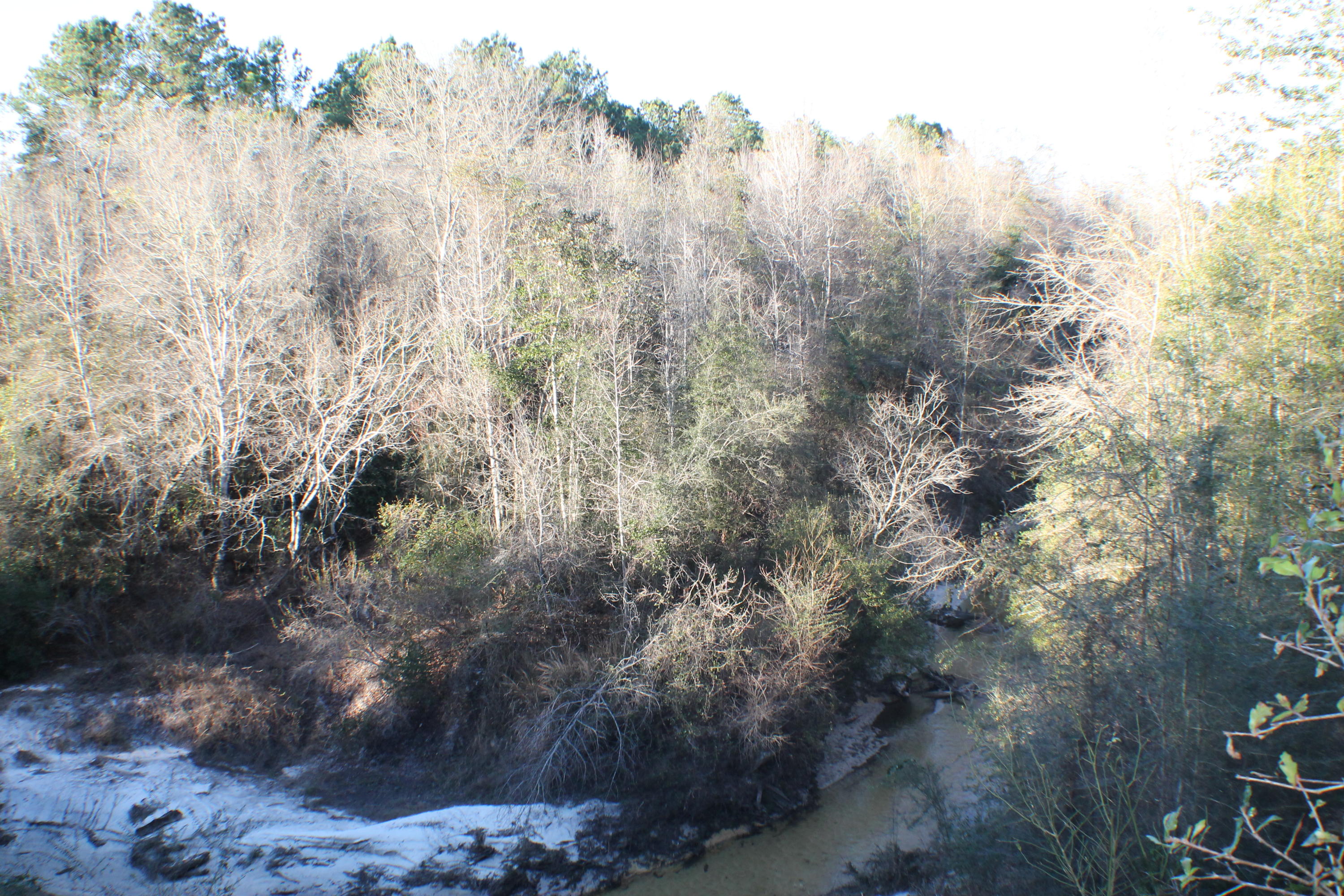 METES & BOUNDS - Land