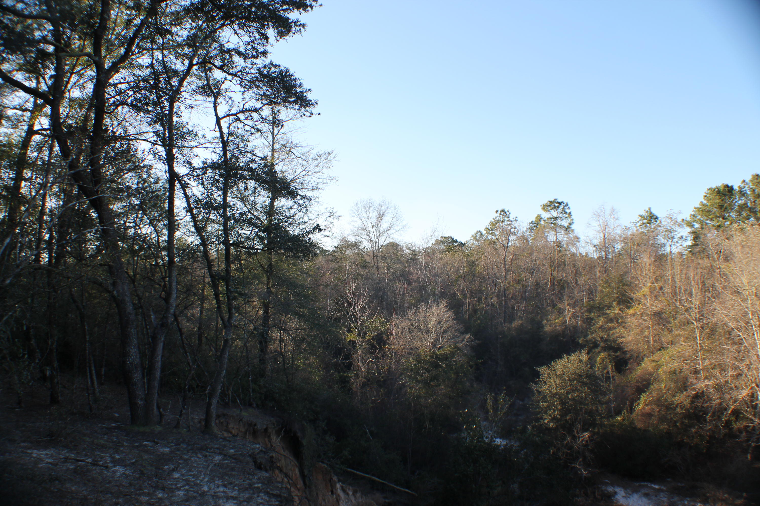 METES & BOUNDS - Land