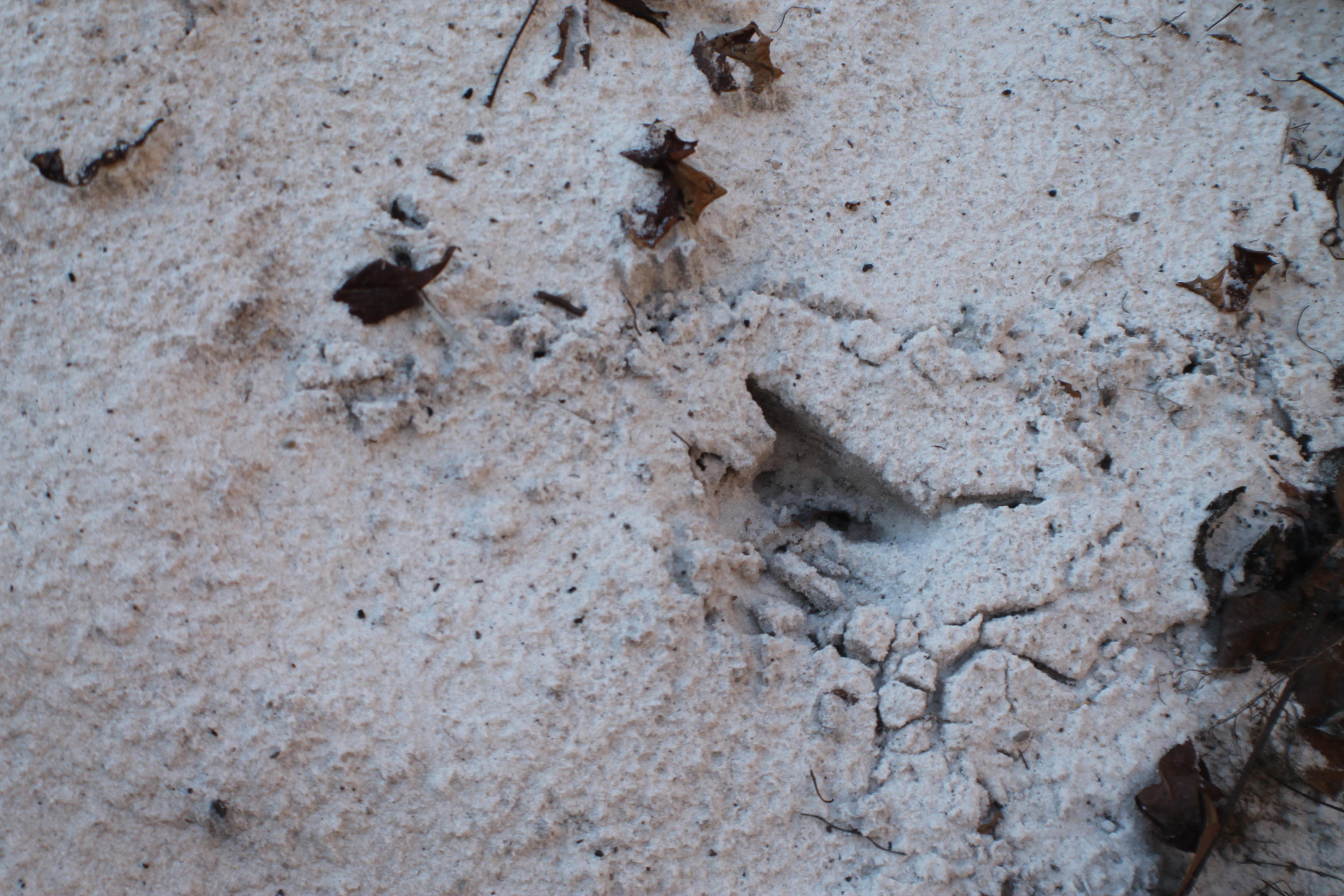 METES & BOUNDS - Land