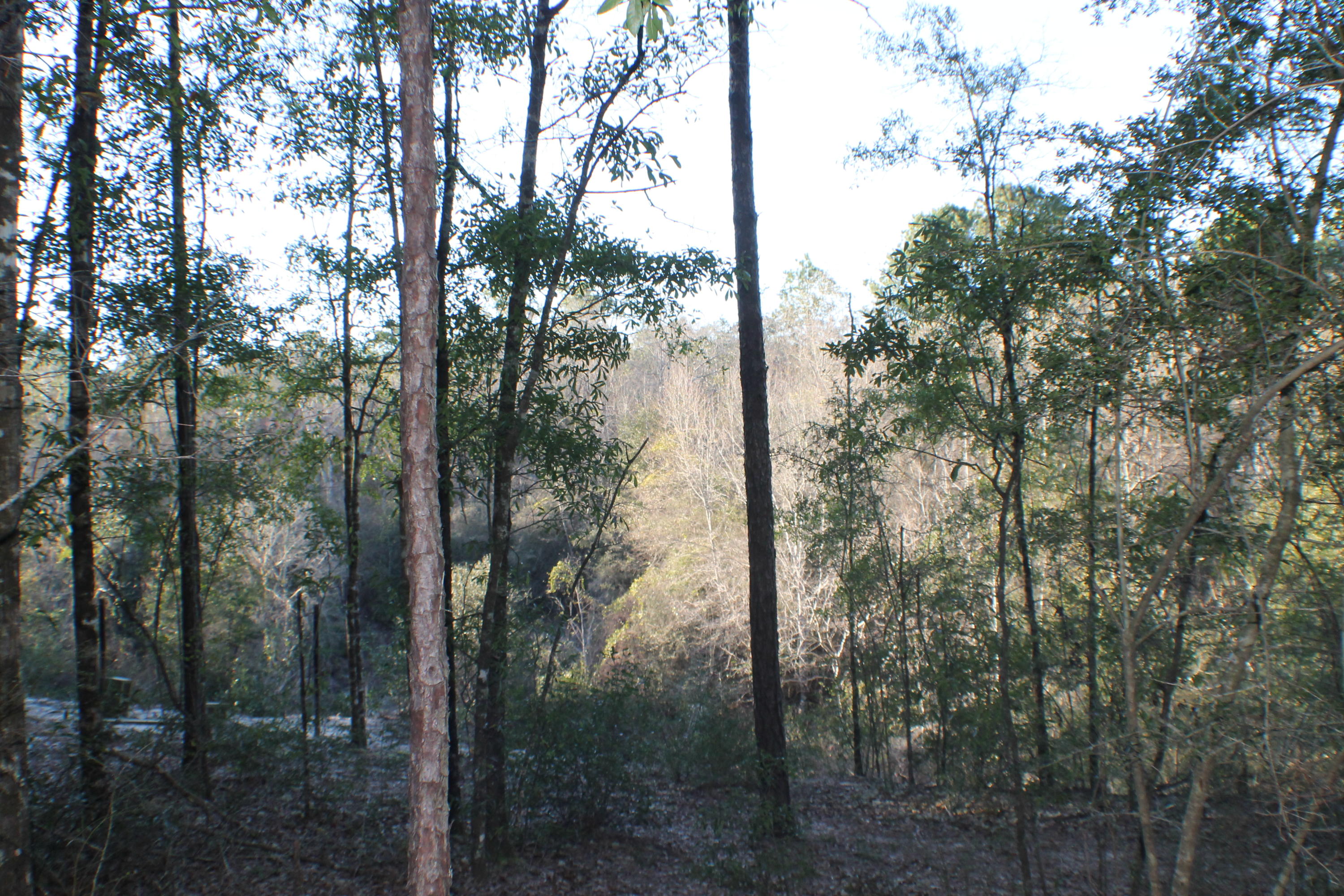 METES & BOUNDS - Land