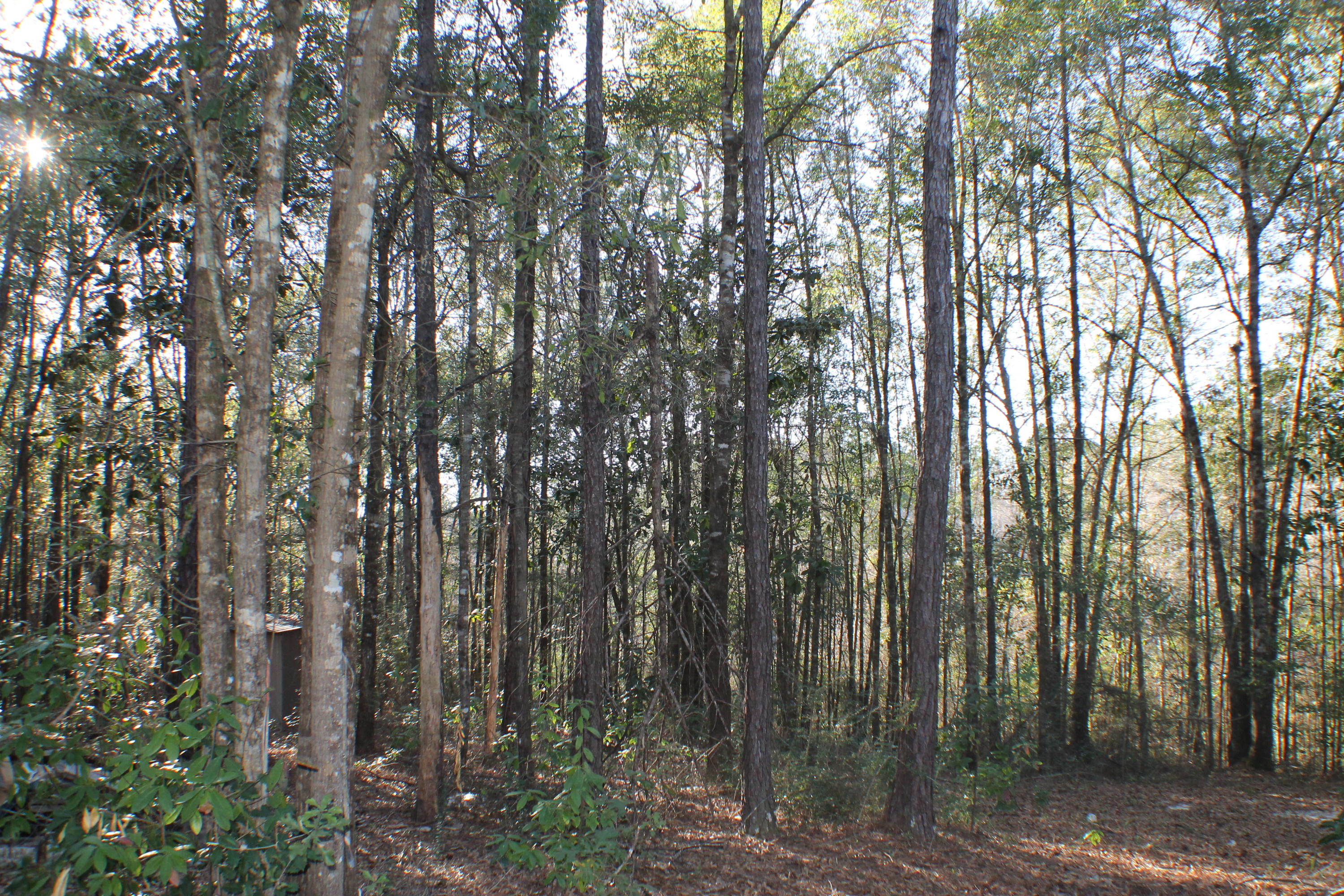 METES & BOUNDS - Land