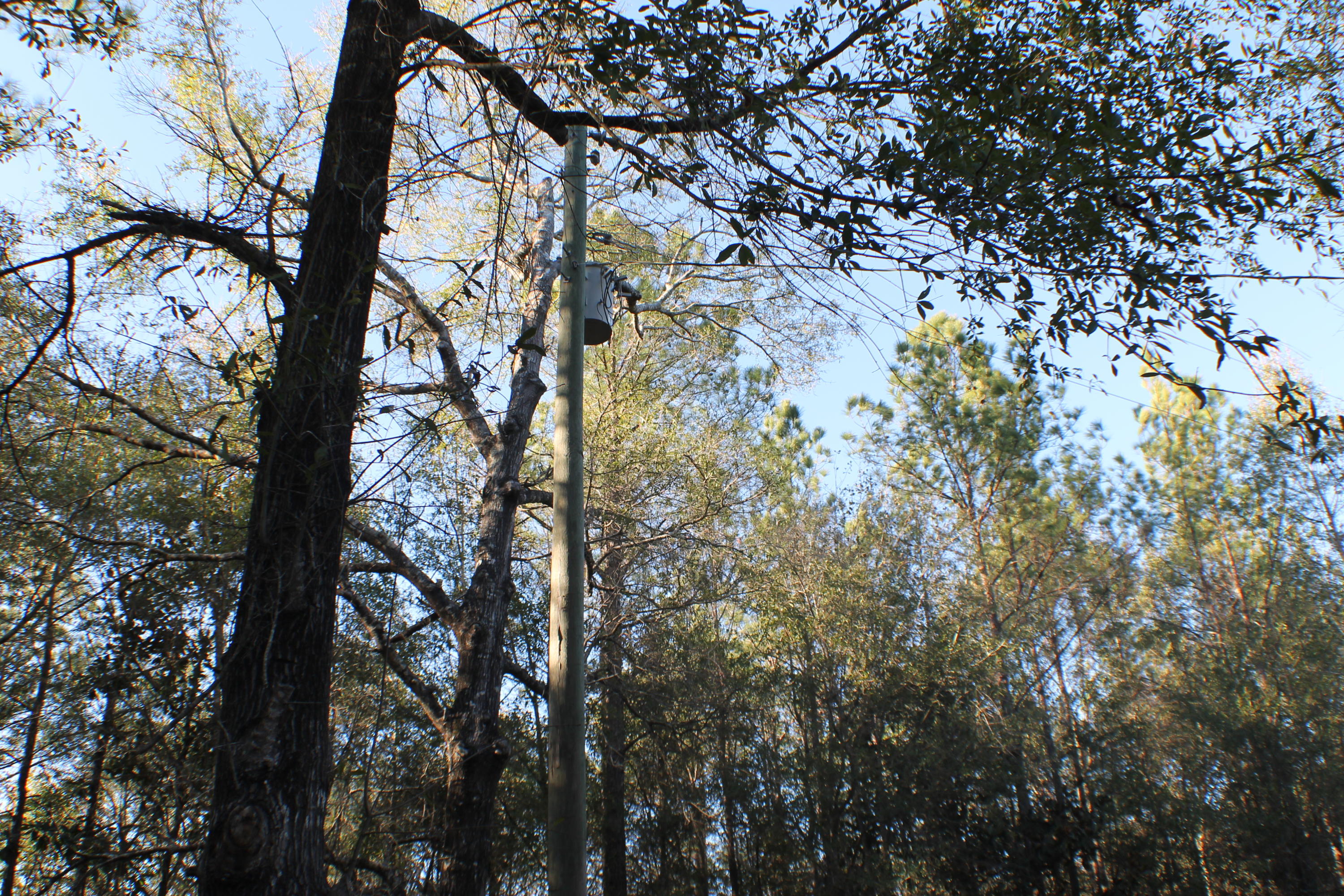 METES & BOUNDS - Land