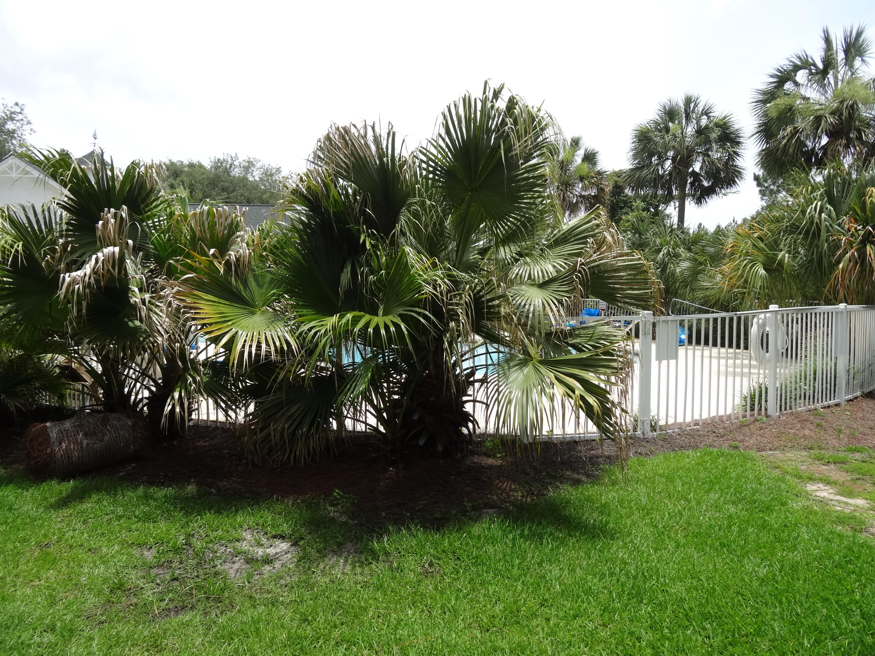 THE FLORIDA CLUB - Residential