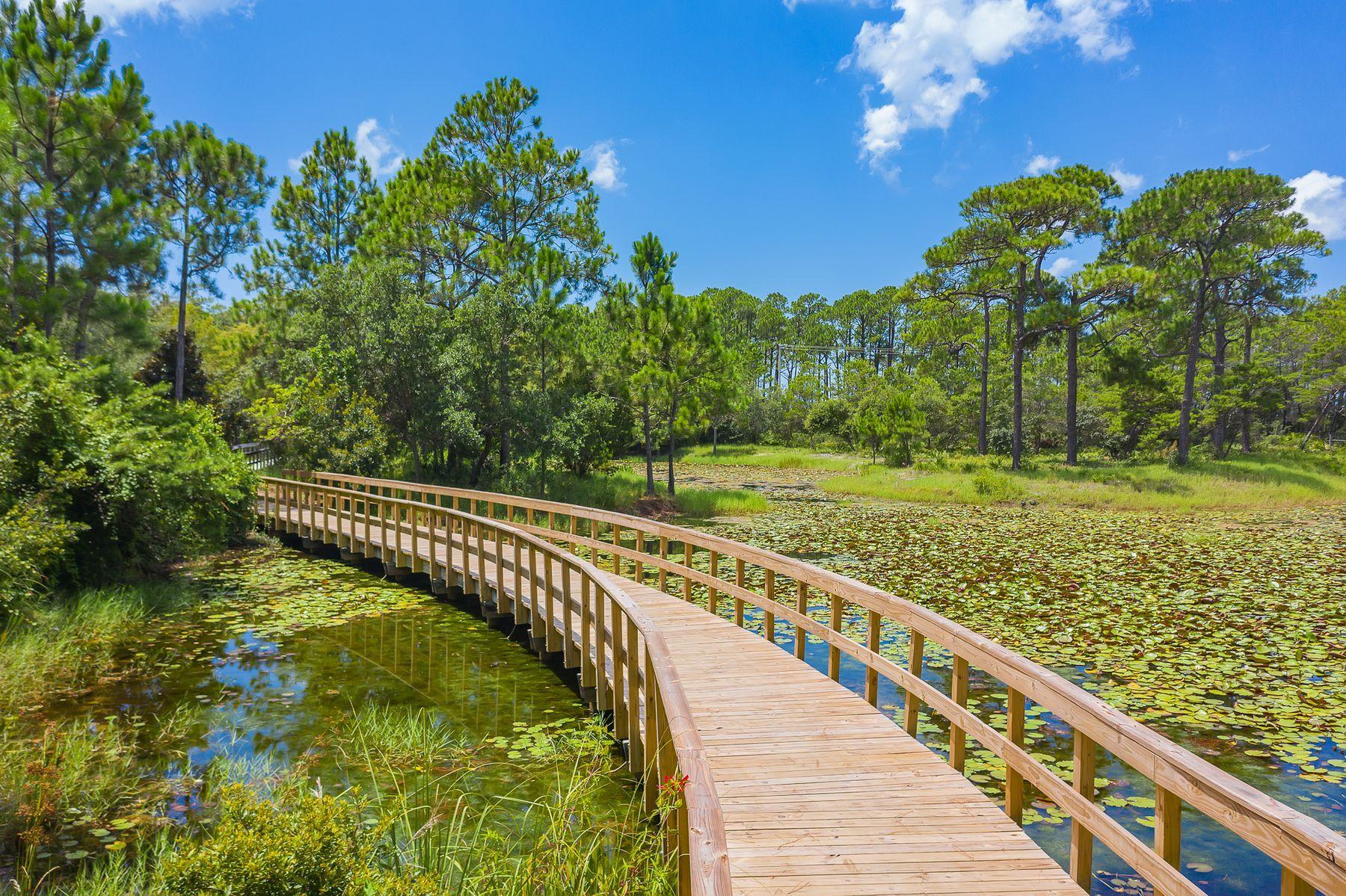 WATERCOLOR - Residential