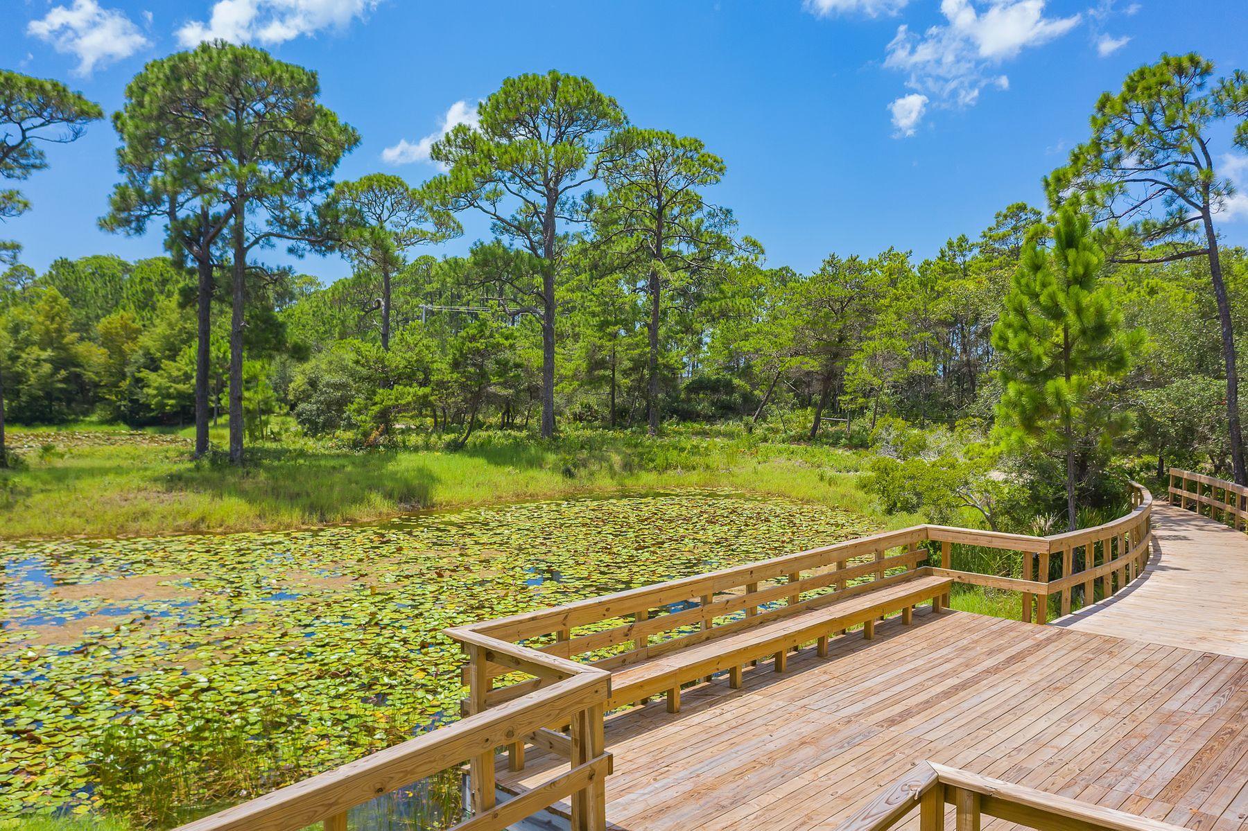 WATERCOLOR - Residential