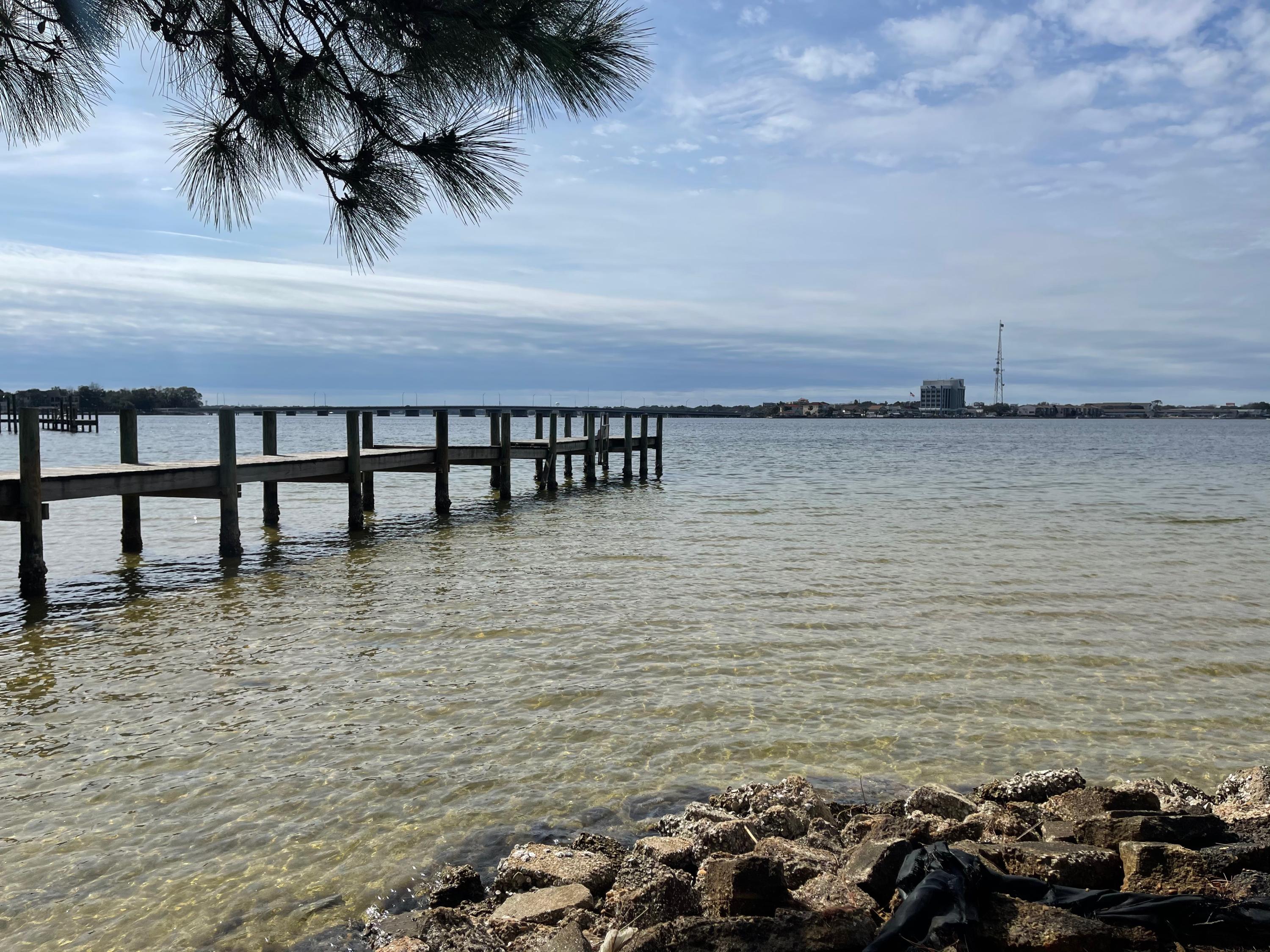 PALM SHORES - Residential