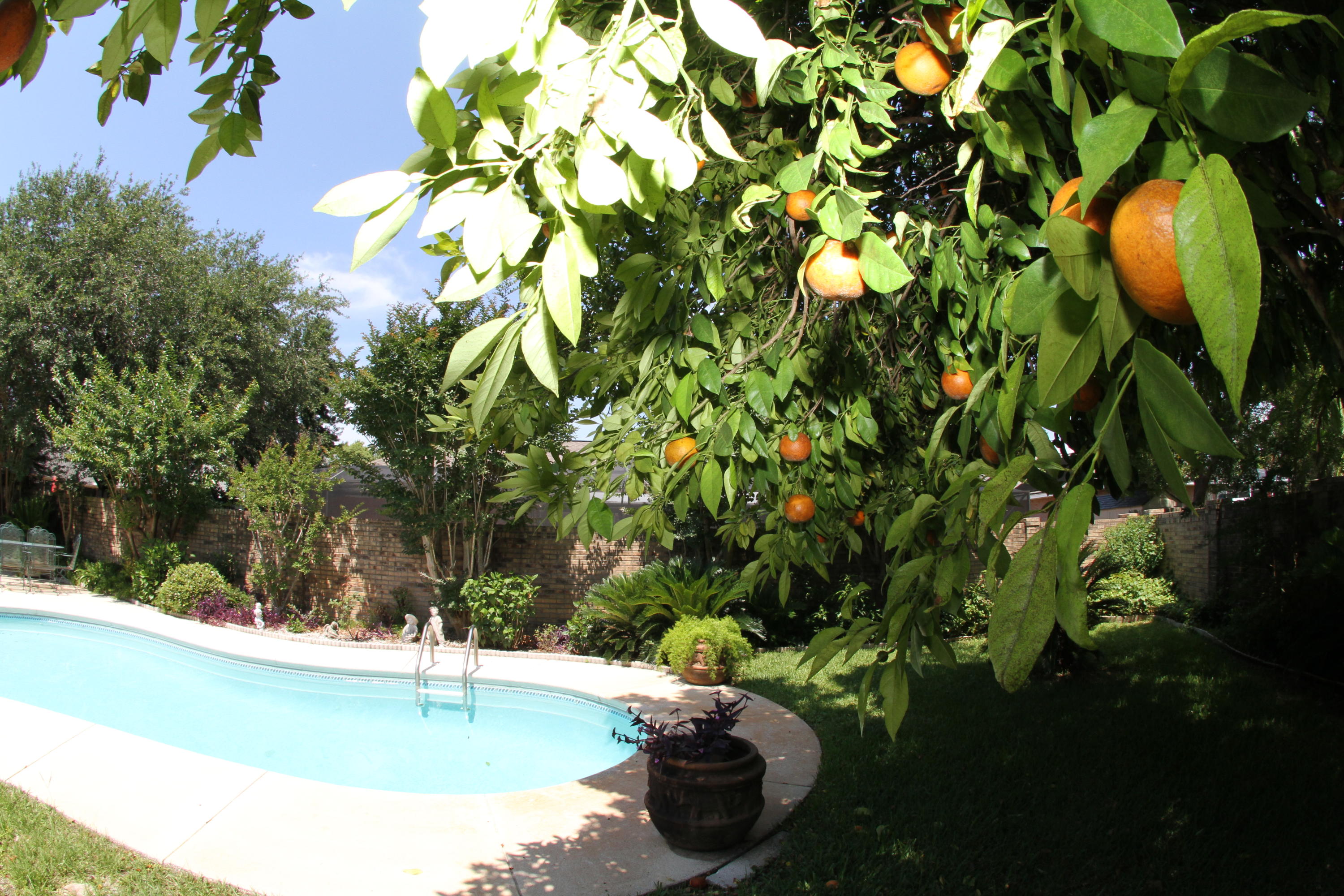 EMERALD BREEZE ESTATES - Residential