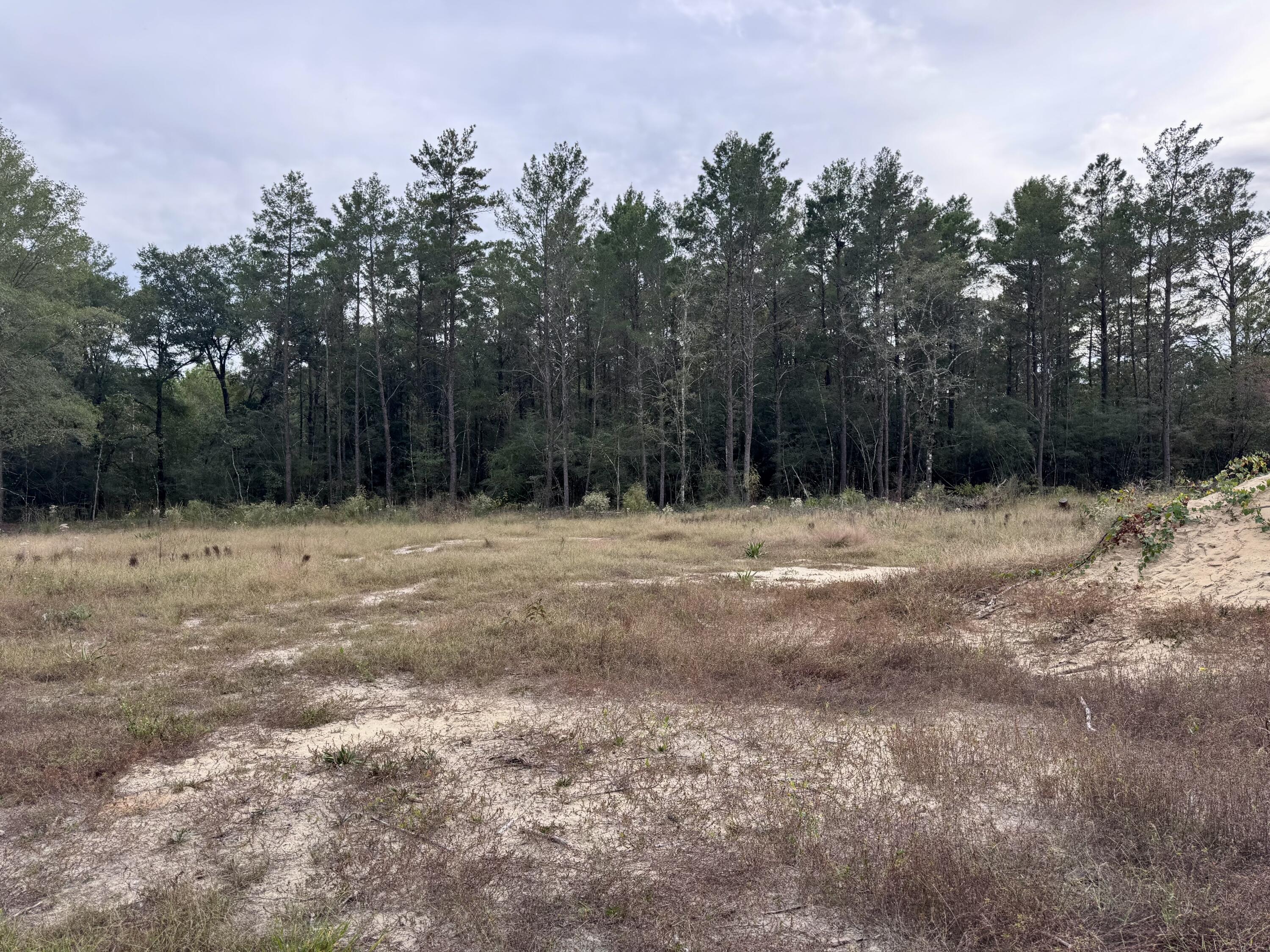 Nice corner lot a little over 1/4 of an acre, located on a quiet road in DeFuniak Springs, FL. The land is flat, dry & already cleared, making it easy for you to begin with your plans. Power access is nearby making it an easy process for connection. A private well and septic will be needed. Enjoy the peace and privacy of a little seclusion while still being just a short drive from town, shopping, and schools. Centrally located between DeFuniak Springs and Hwy 285 giving easy access to Niceville area as well. - Lots 23 & 24 are also available for purchase.