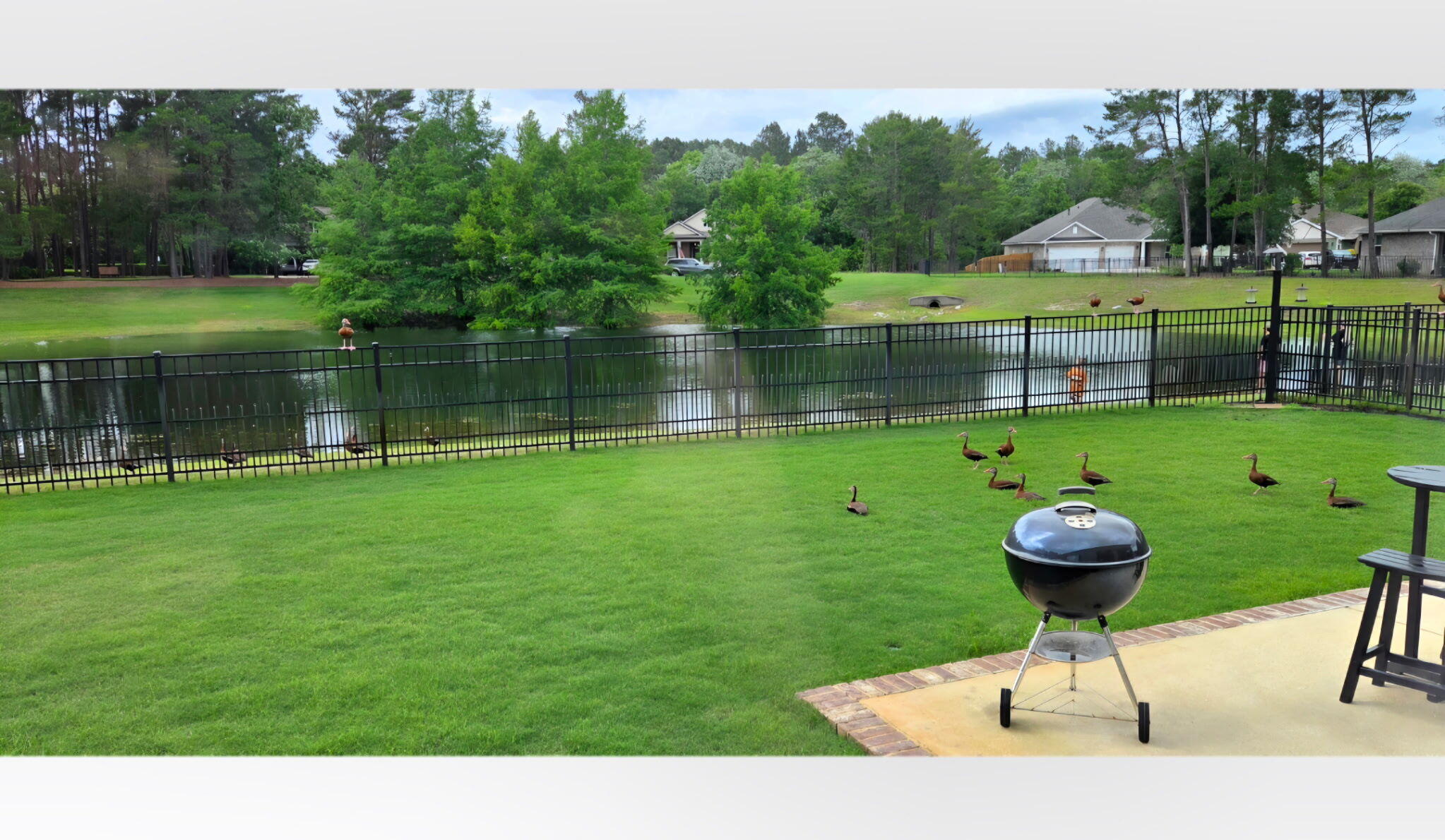 HAMMOCK BAY - Residential