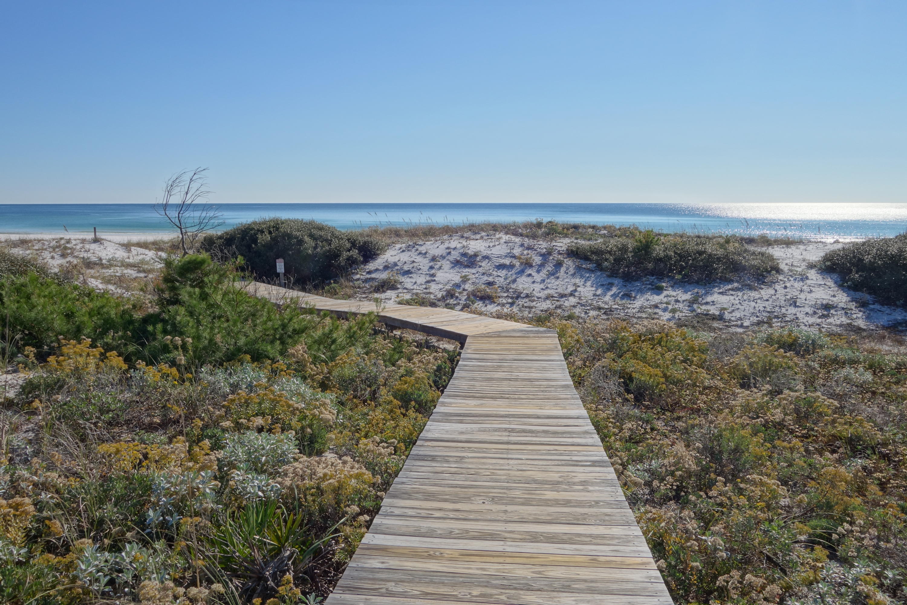 THE PRESERVE AT GRAYTON BEACH - Residential