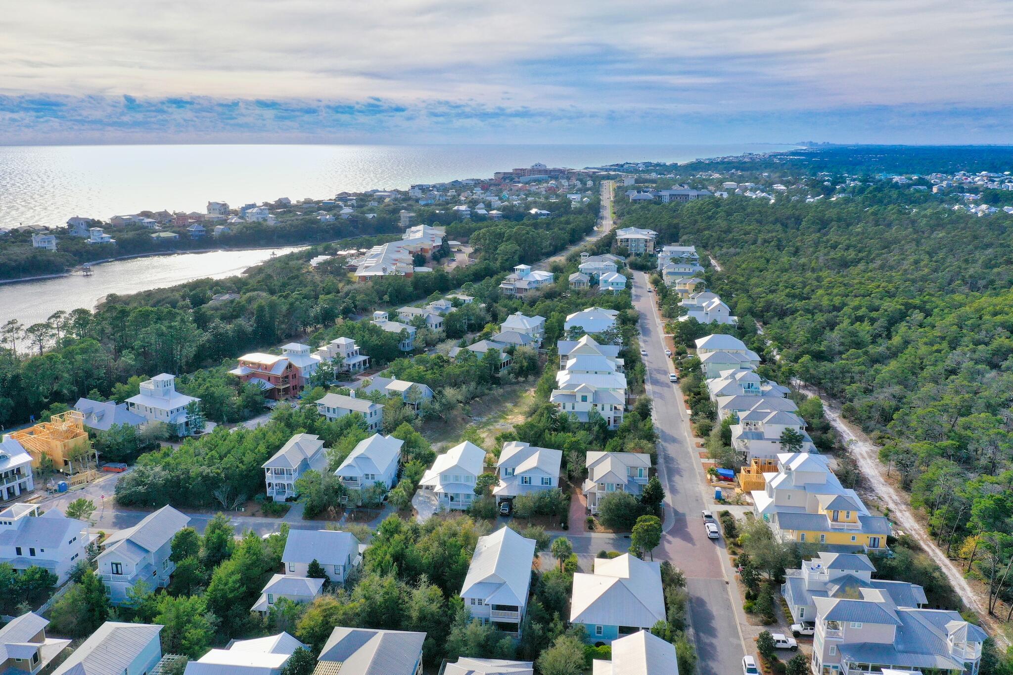 THE PRESERVE AT GRAYTON BEACH - Residential