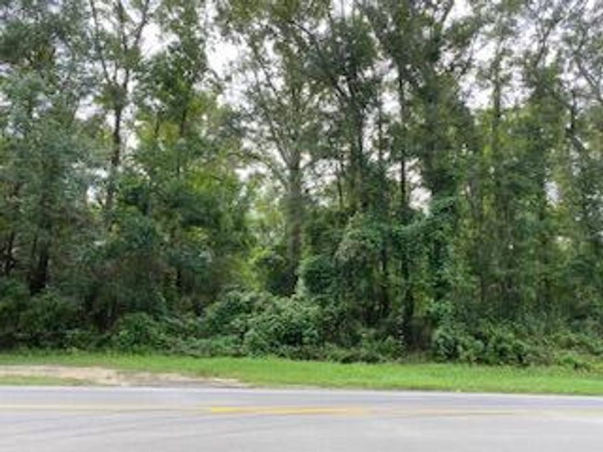 One acre with 192.8' frontage to State Highway 81.  There are several older buildings on the property with no value on them. Beautiful area to put a mobile home or build a house.  State Highway 81 is a direct route to some of the most beautiful beaches.  A current survey is available and was paid by seller.