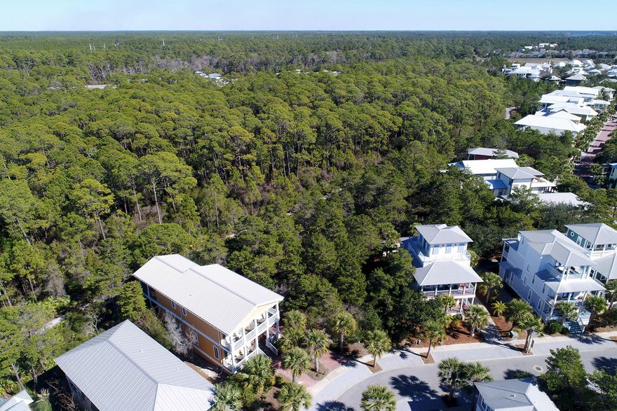 Build your dream beach home with pool and carriage house in Seacrest Beach.Look No Further! Rare Estate Size Lot In Seacrest Beach. This is a rare opportunity to build the home you've been dreaming about on one of the largest, most distinctive lots in Seacrest Beach. Just an eight minute walk along the private neighborhood trail to Rosemary Beach, this prime parcel of land is unlike anything offered in the area today and an absolute must see! Imagine after a fun filled day playing in the nearby sugar white sand and emerald waters then retreating to your newly built custom beach home that accommodates everything you have ever wanted in a property. With ample space, you can let your imagination run wild. Perhaps you desire a spectacular entertainer's haven for friends and family to enjoy, complete with a refreshing pool and outdoor kitchen, carriage house, and a large garage for storage - all detailed to your exact specifications! Maybe you also covet a huge top-of-the-line chef's kitchen, with a luxurious first floor master suite boasting a spa like bathroom and sitting area that opens to a large private deck. All the key features you desire are now a possibility!  This distinctive location is just 1.5 blocks to the 12,000 square foot resort style lagoon pool and additional amenities include free neighborhood beach shuttle, 24 hour security, and short walk to Alys Beach for shopping, restaurants and more. Exceptional beach living awaits. Lot Dimensions are approximate and should be verified by buyer/builder.