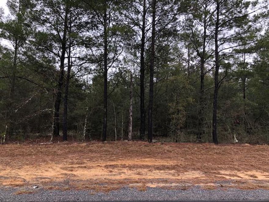 Great land close to HWY 90 and I-10 to build on! 16 platted lots 25'x110' to equal about 1.1 acre!This listing is for BLK 14, Lots 26-41. Land will be parceled off from main parcel at closing and given new Parcel ID and address.Buyer to verify all pertinent information.