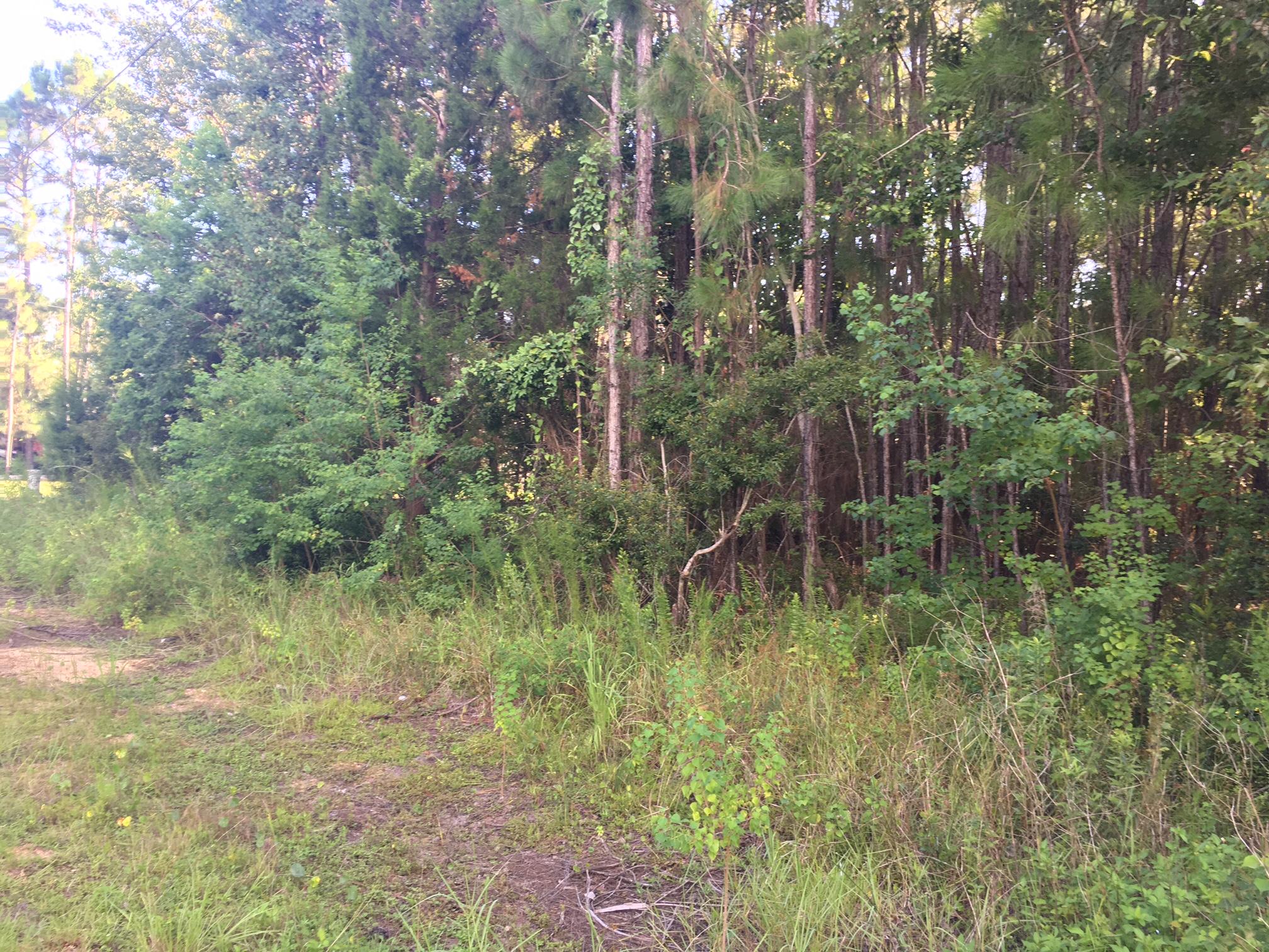ATTENTION BUILDERS AND INVESTORS...This lot listing is one of four lots all together in a great area of North Santa Rosa Beach. Purchase one lot or all four! This is a great building lot in Old Town Santa Rosa that is surrounded by cute cottages and close to the Chat Holly intersection. Call today to see this gem!
