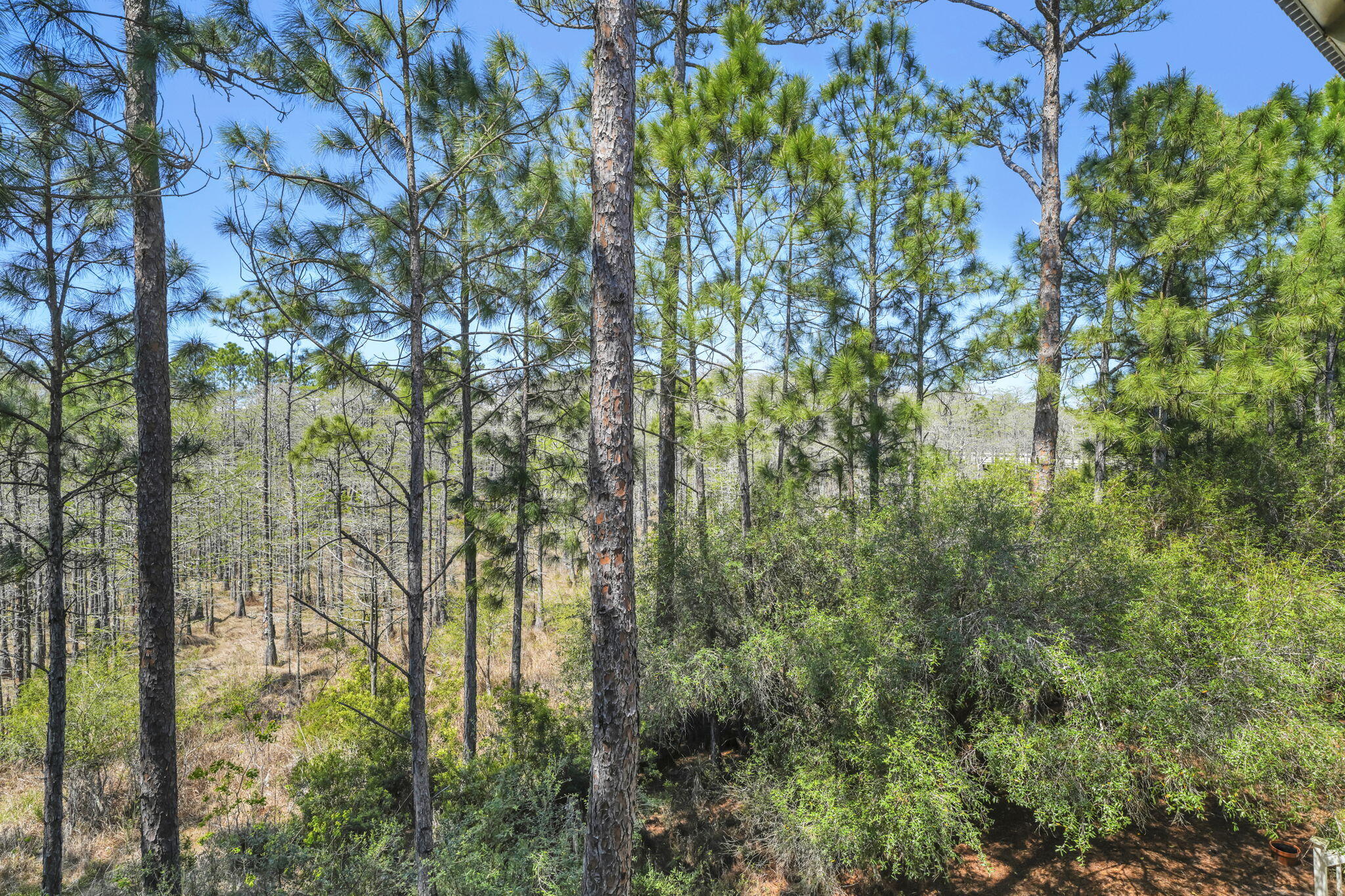 CYPRESS DUNES - Residential