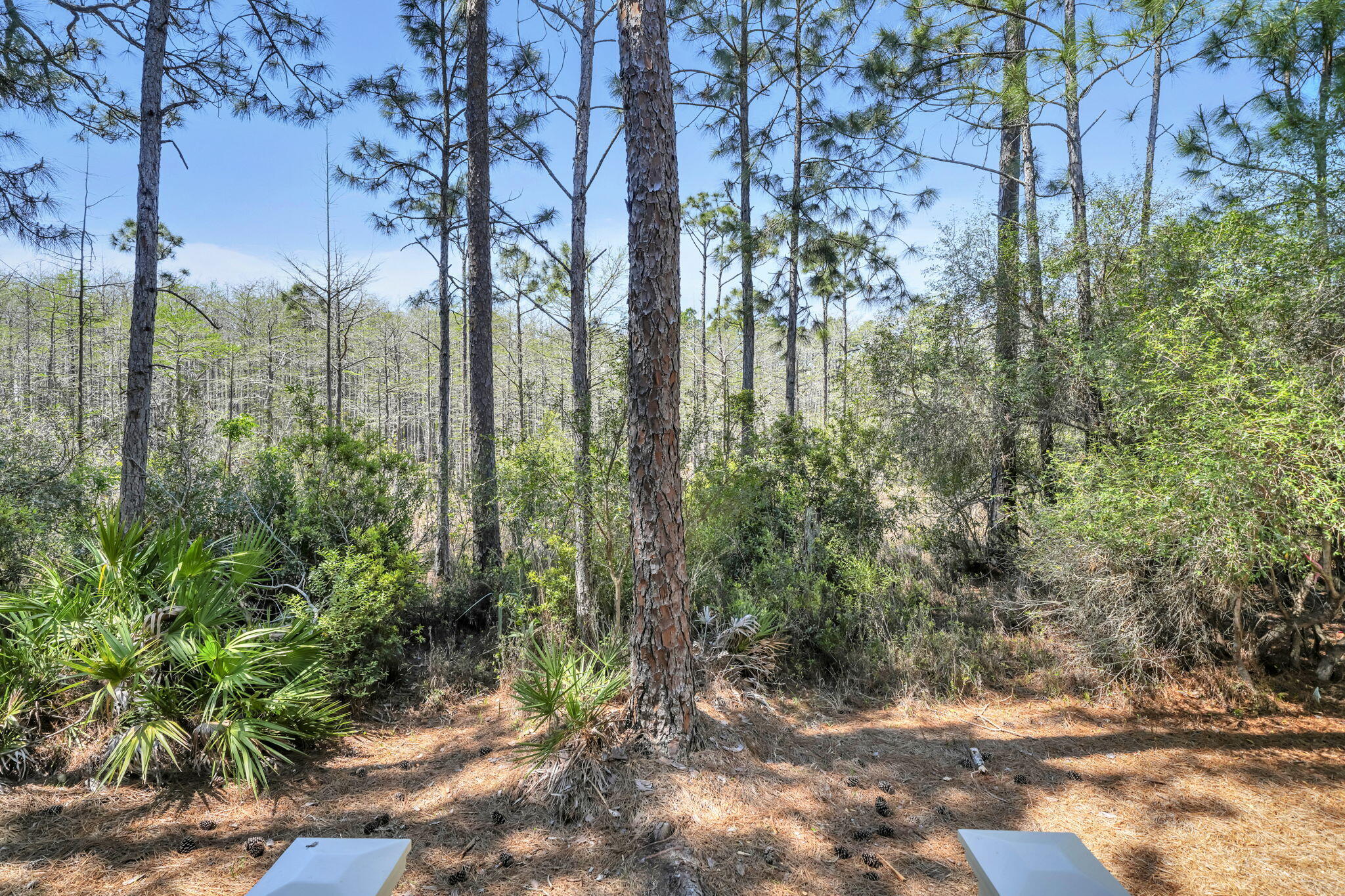 CYPRESS DUNES - Residential