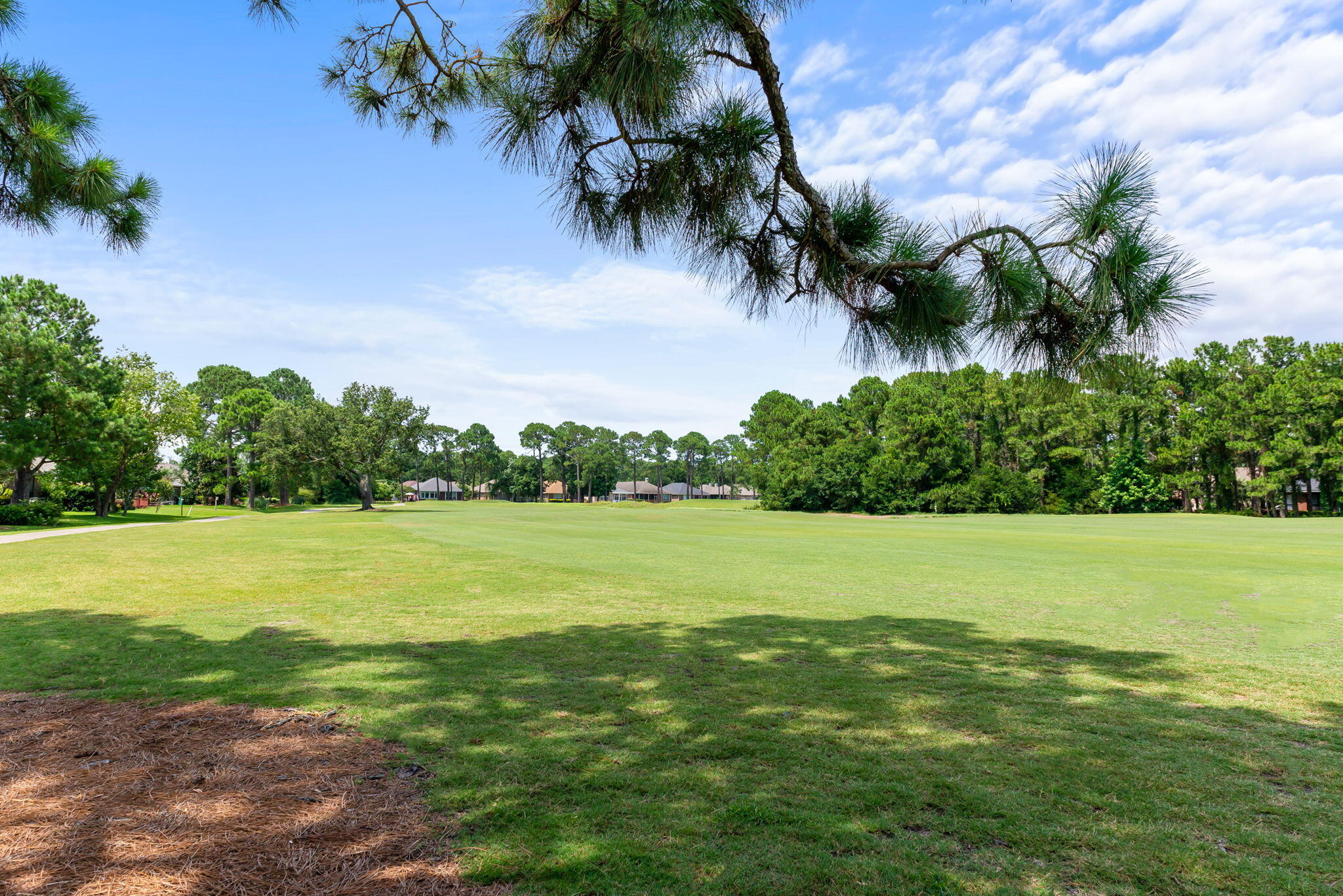 TIGER POINT - Residential