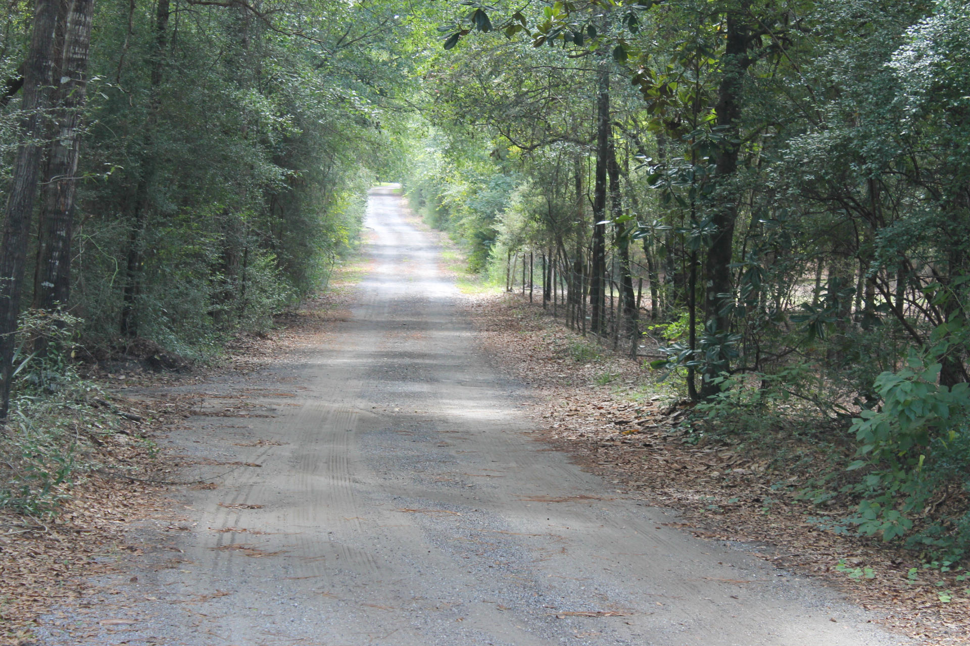 COY BURGESS - Residential