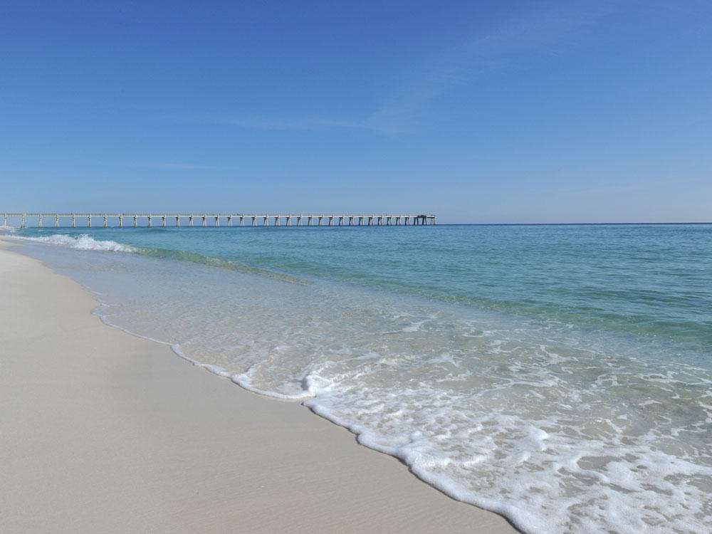 PALMETTO LAKE PRESERVE - Residential