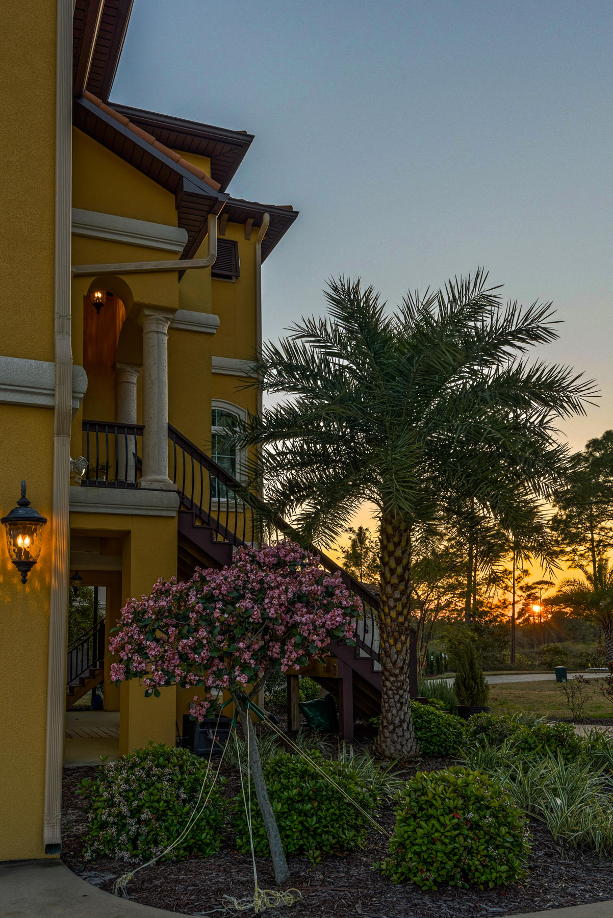 PALMETTO LAKE PRESERVE - Residential