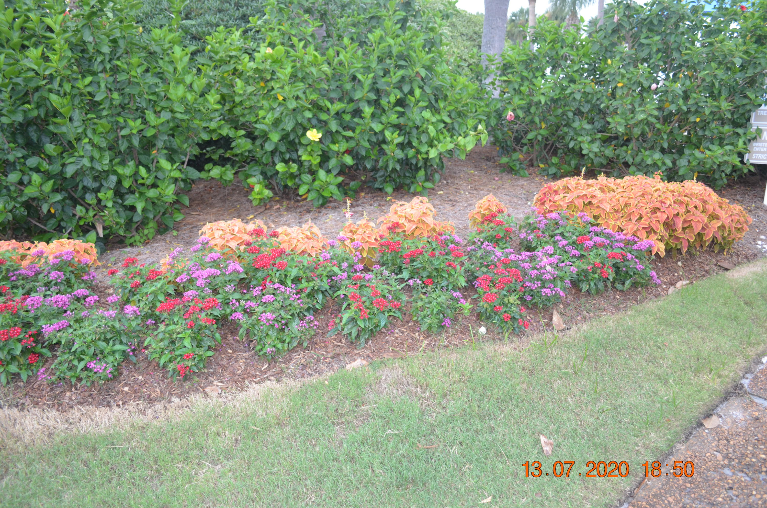 SEASCAPE CONDO PH 7 - Residential