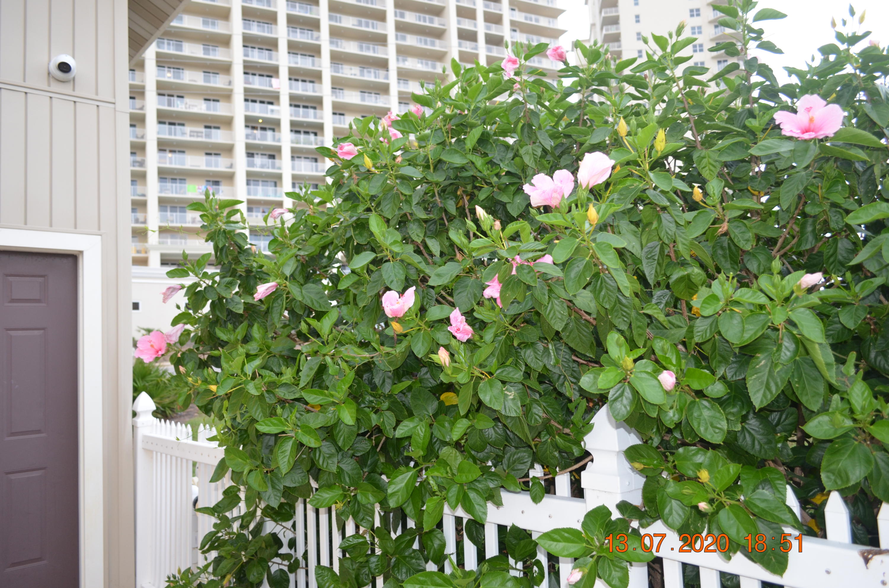 SEASCAPE CONDO PH 7 - Residential