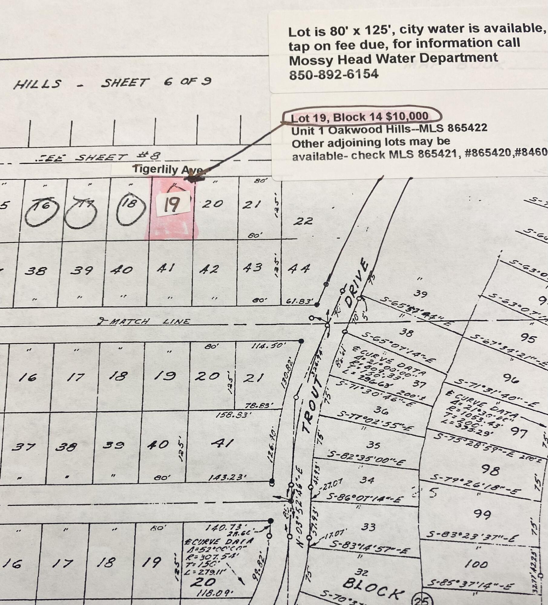 Great location for mobile home or a new home to be built...Near to Eglin AFB, Destin and South Walton Beaches, and I-10 exit, cracked asphalt road just off Trout Road which is paved also. Lot is 80' x 125' and has current survey. Other adjoining lots maybe available check MLS#846038,#865420,#865421.