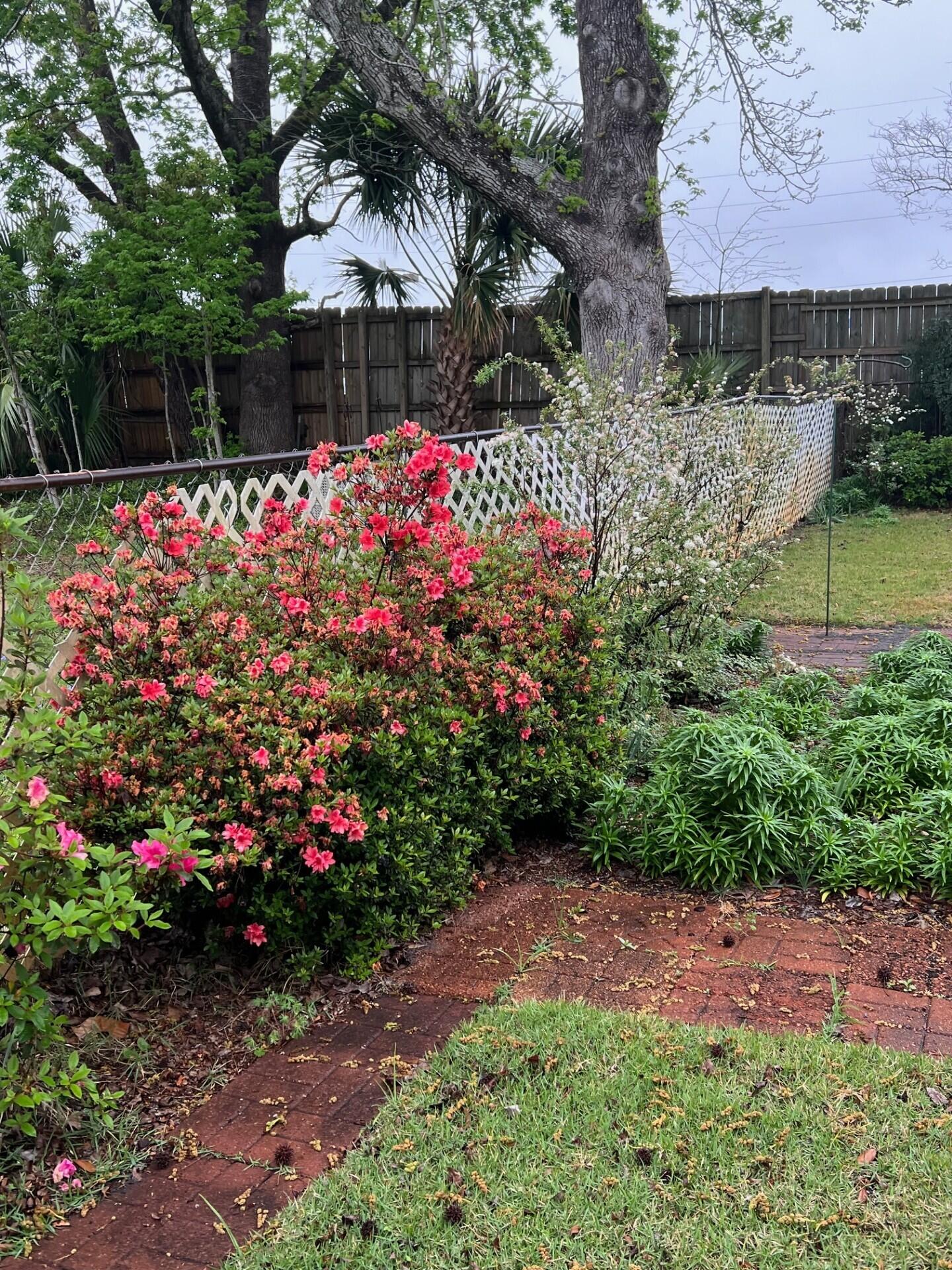 SANTA ROSA PARK - Residential