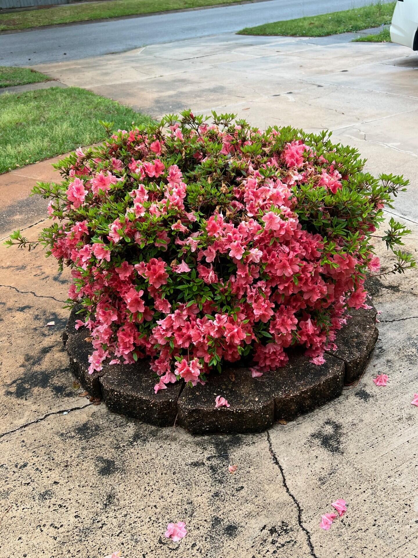 SANTA ROSA PARK - Residential