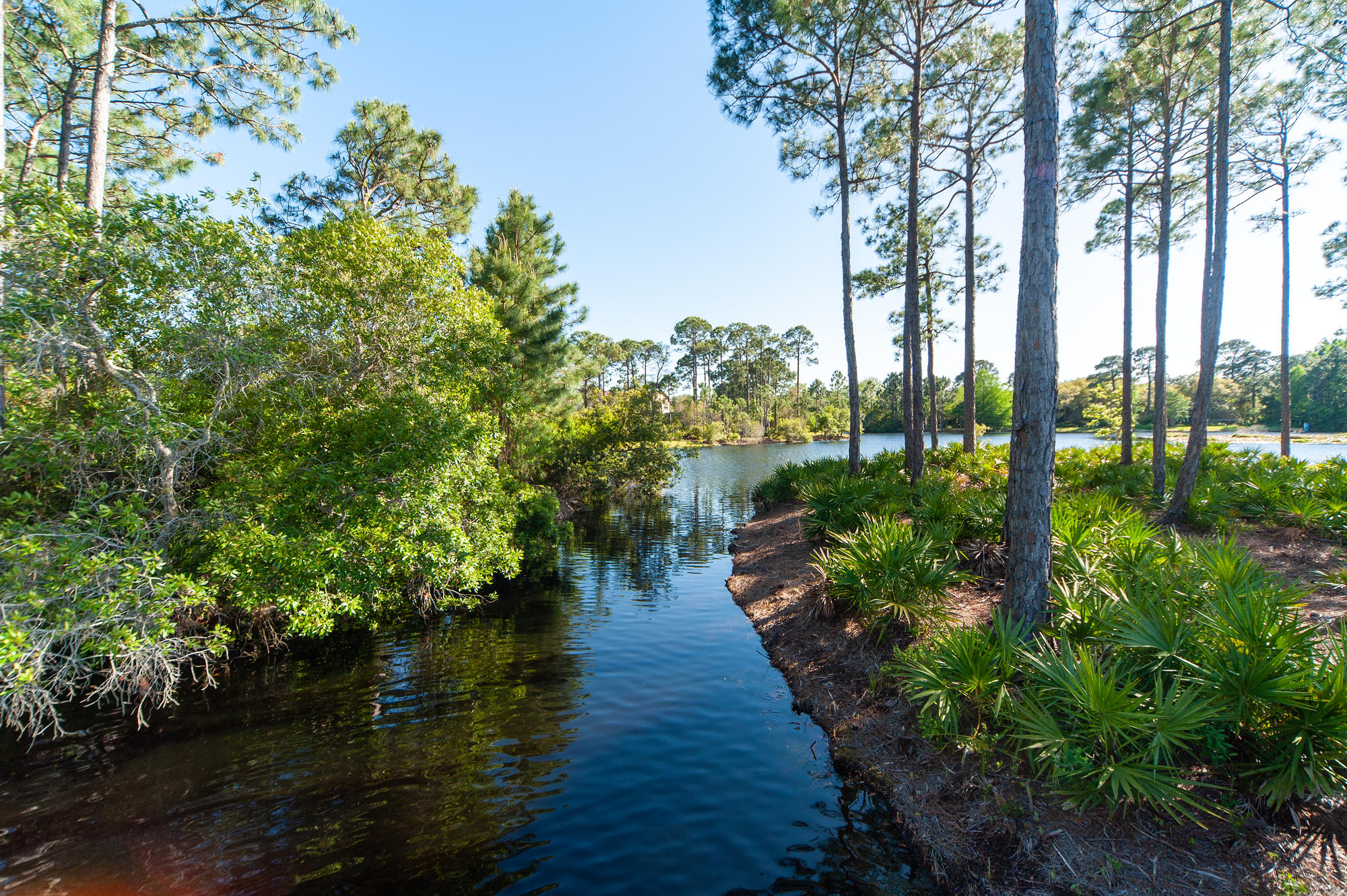 KELLY PLANTATION - Residential