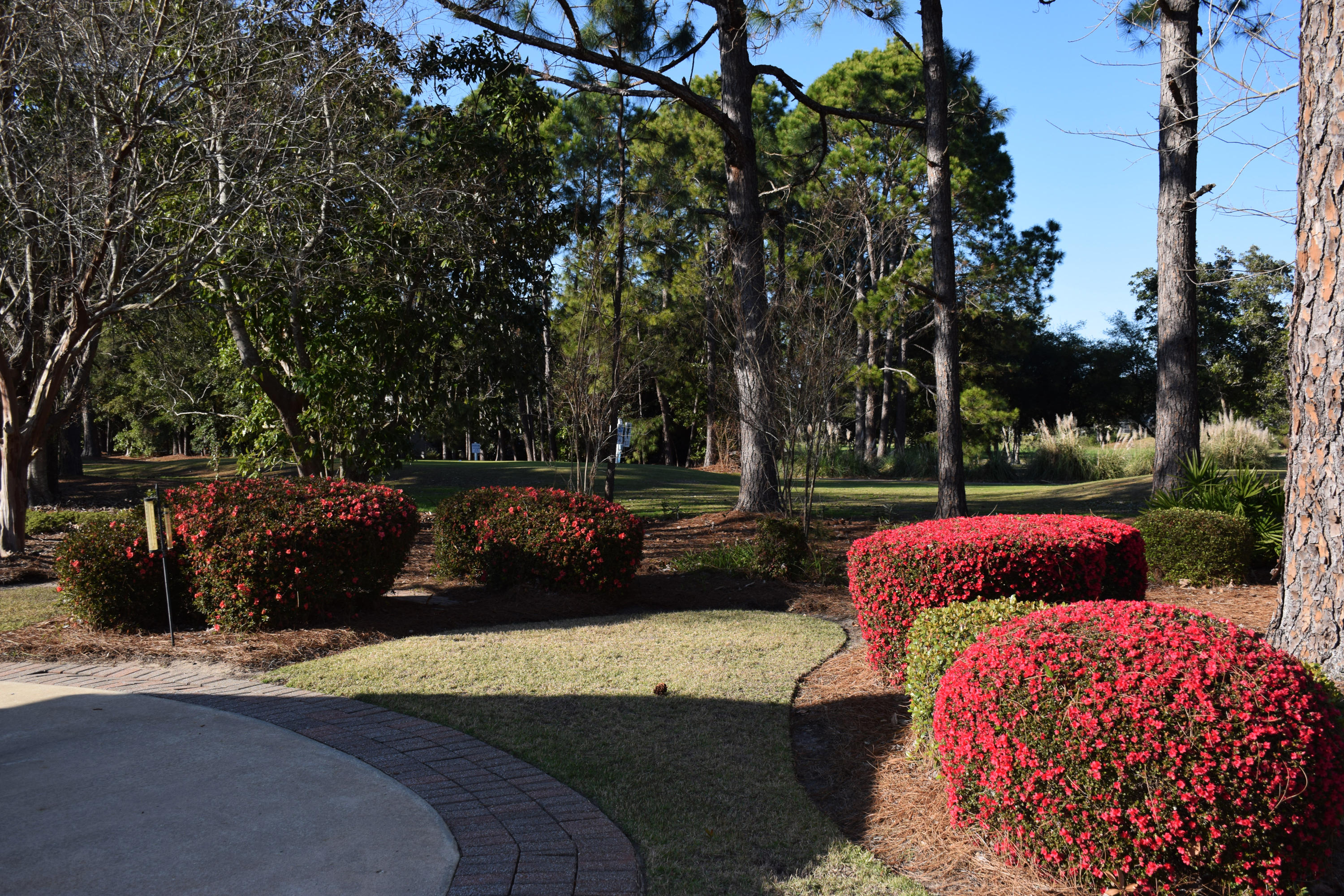 TURNBERRY PLACE - Residential