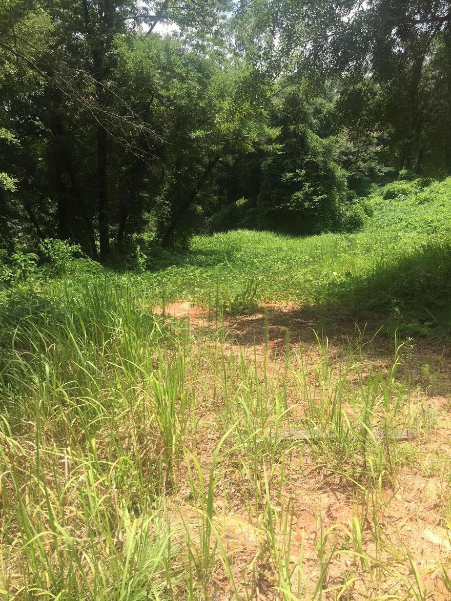 REDUCED!!! Motivated Seller!! Hard to find one acre lot off Airport Rd. within walking distance of Publix! This lot price has been cut to accommodate cost of backfilling lot to build your dream home!!! See potential of Lot by looking at adjacent house built on same slope. This lot needs a creative mind to build house using slope for basement house design or lot could be back filled and leveled! Some fill has been installed to bring lot up. Won't last long at this price!! Make offer!!.