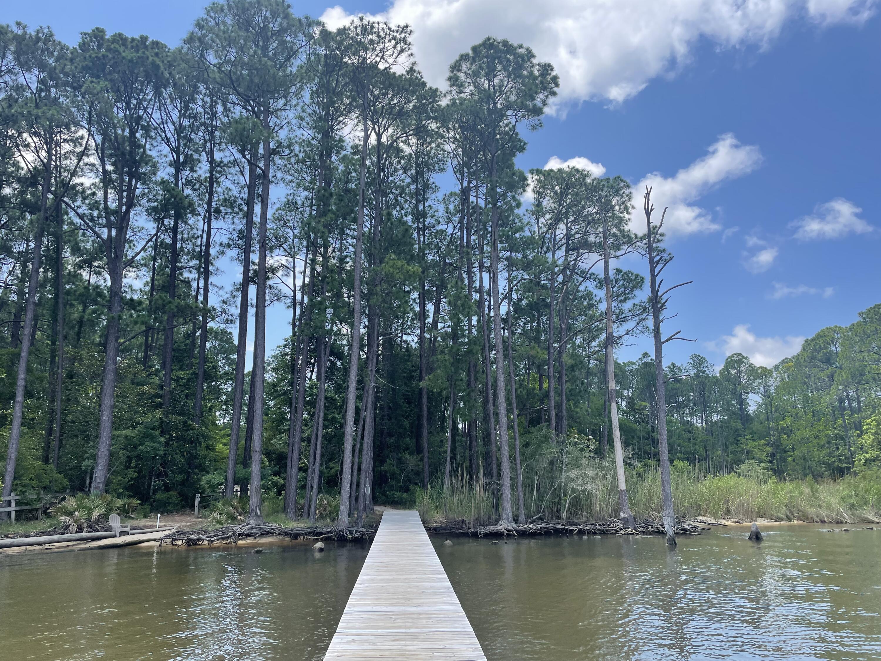 THE WOODS - Residential