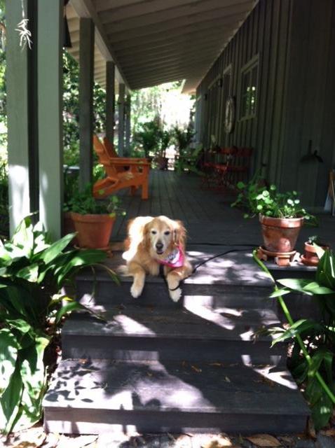 Historic Pt Washington - Residential