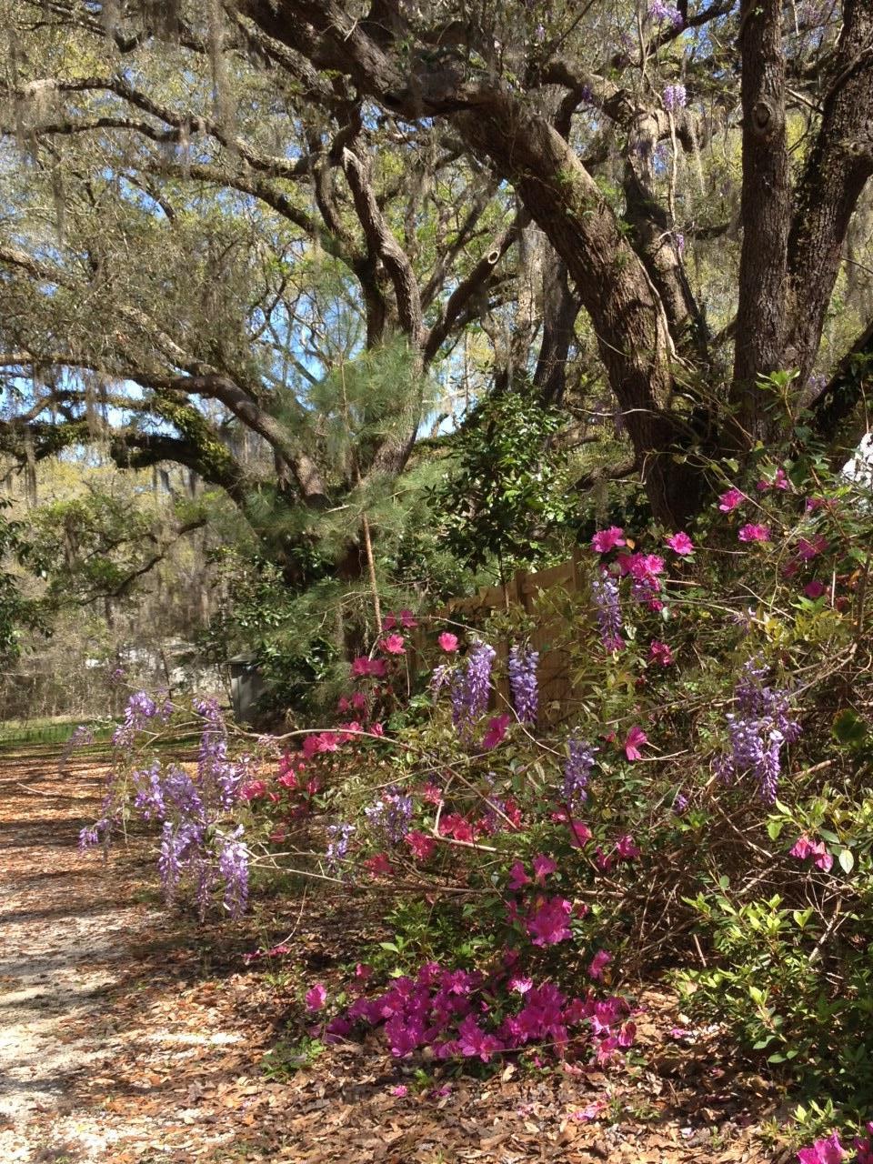 Historic Pt Washington - Residential