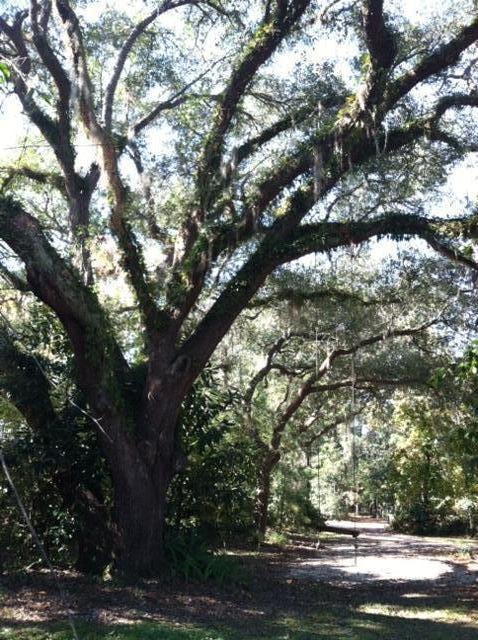 Historic Pt Washington - Residential