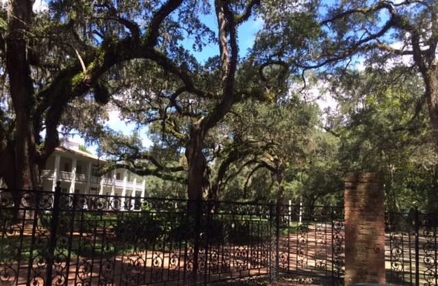 Historic Pt Washington - Residential