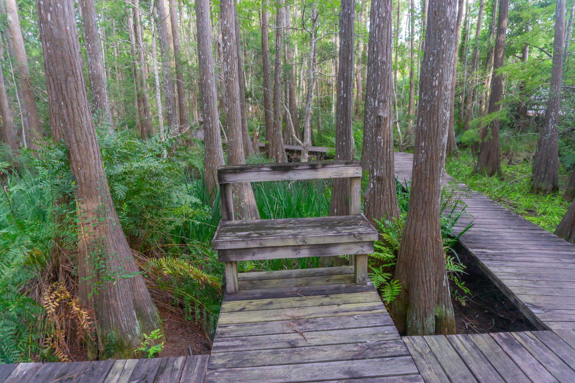 CASSINE STATION - Residential