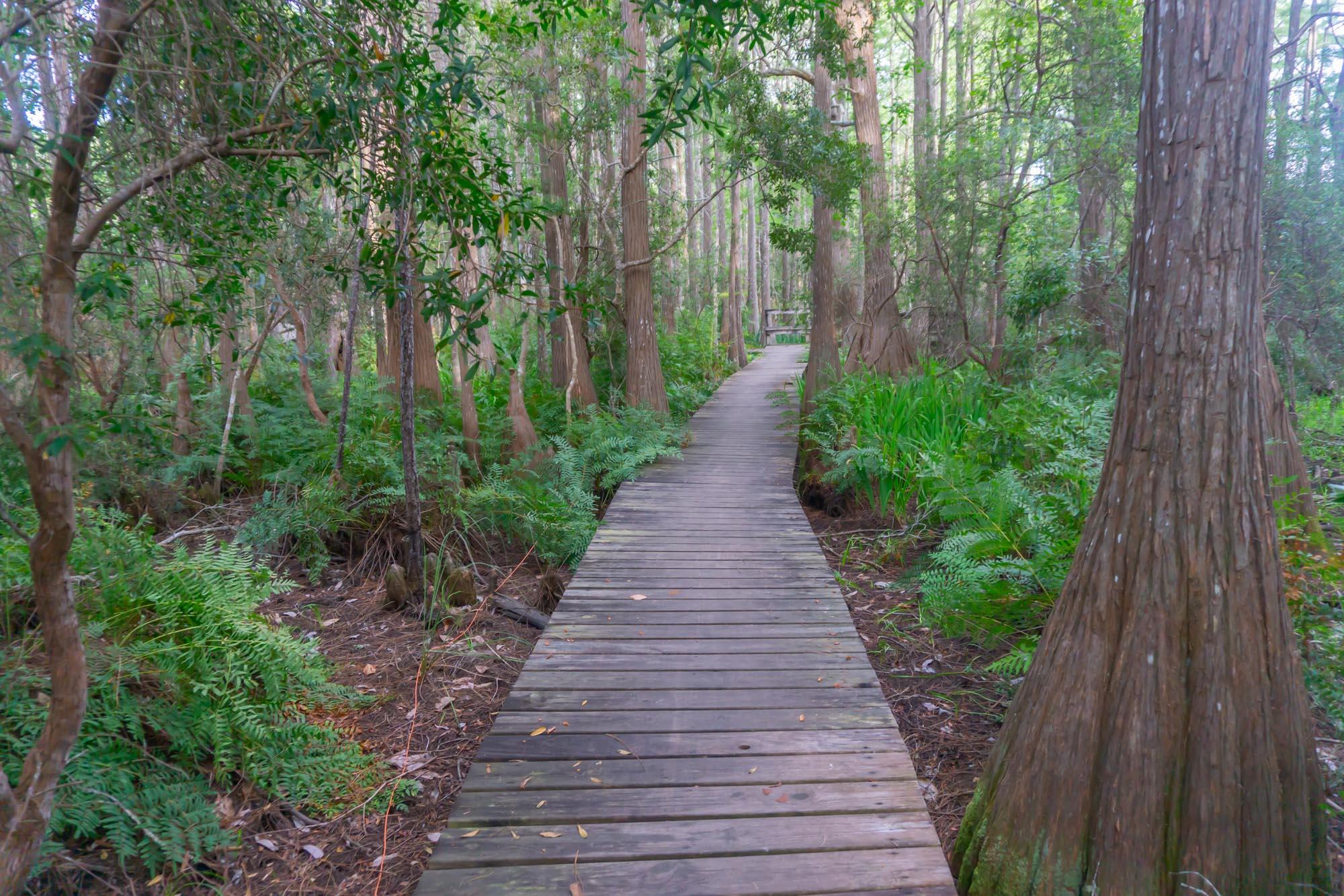 CASSINE STATION - Residential