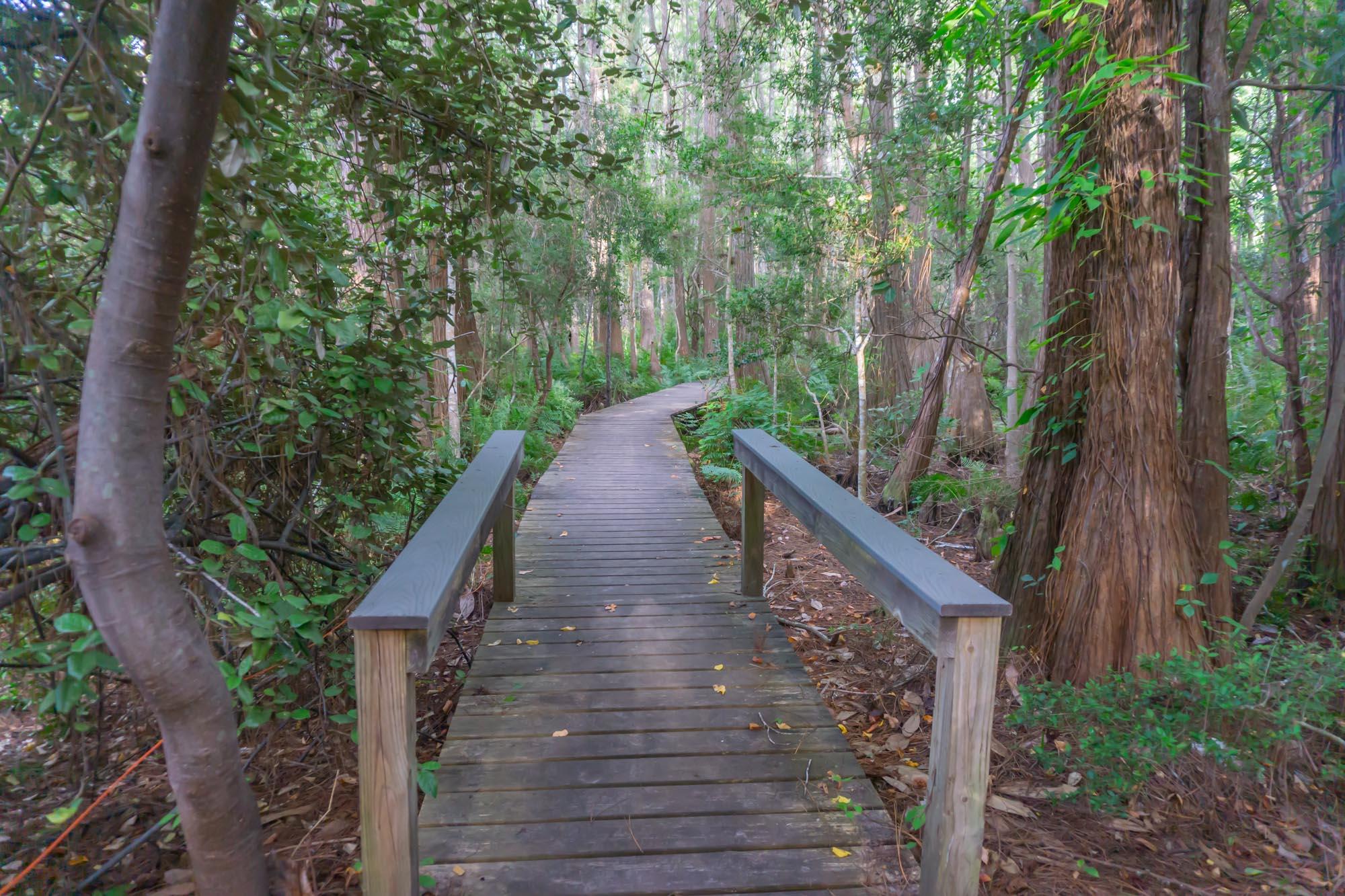 CASSINE STATION - Residential