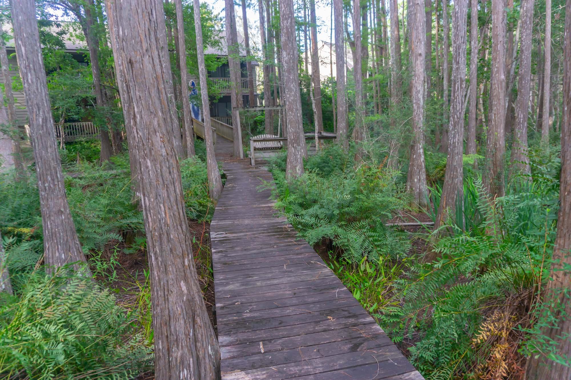 CASSINE STATION - Residential