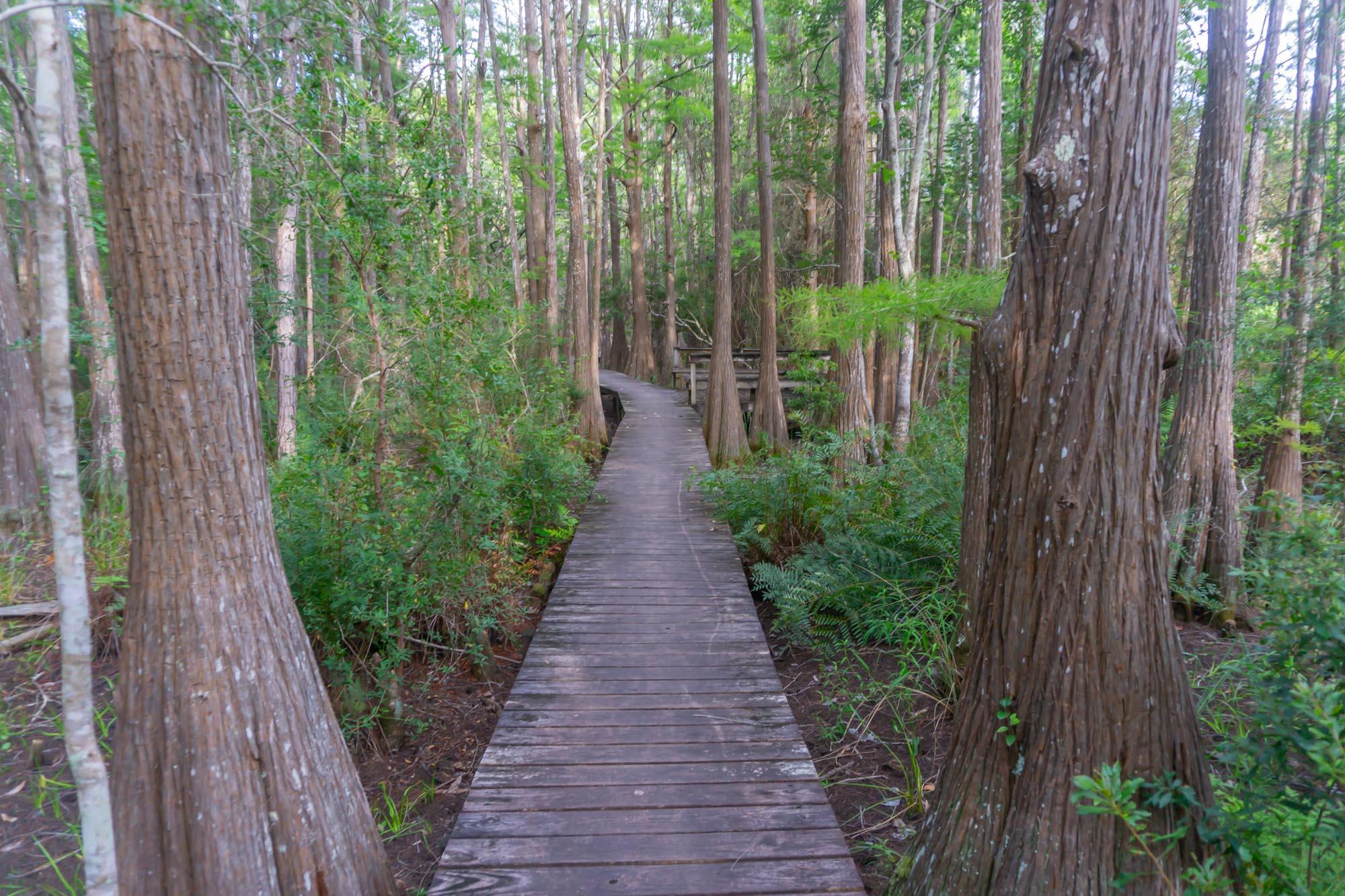 CASSINE STATION - Residential
